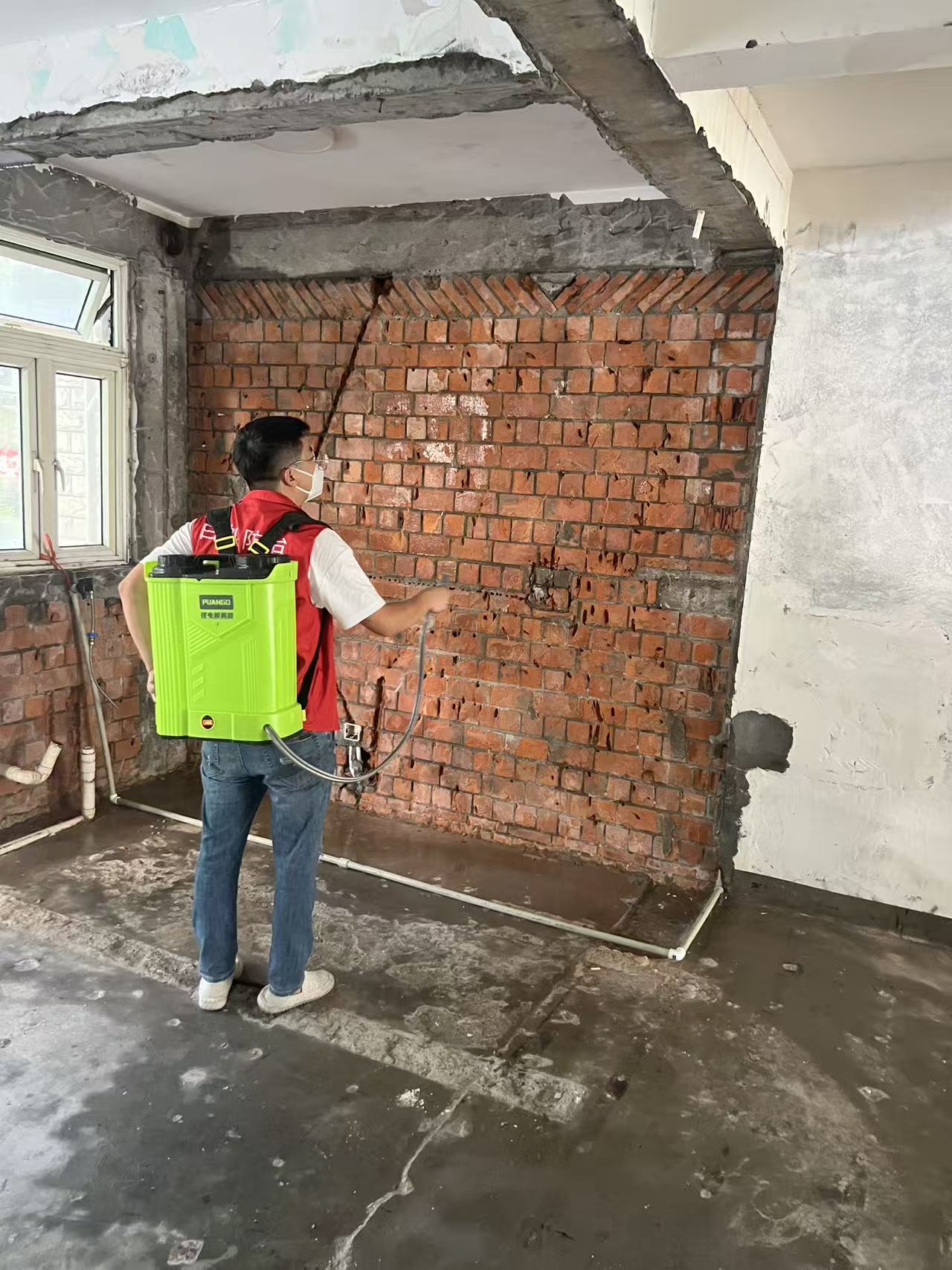 杭州市白蚁防治站：白蚁很厉害吗？揭秘这些微小破坏者的惊人力量