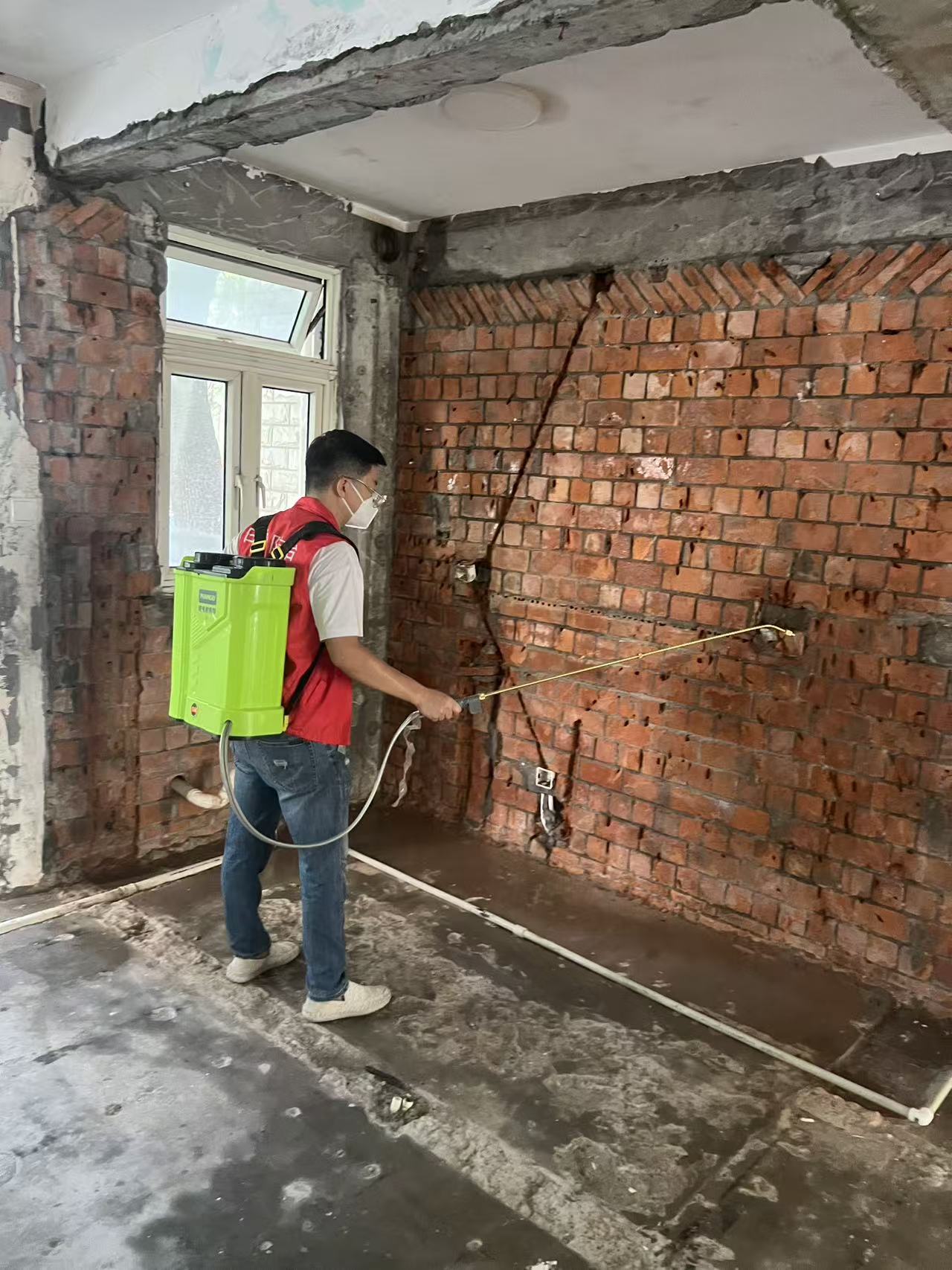 梦见树根里好多白蚁：梦境解析与心理启示