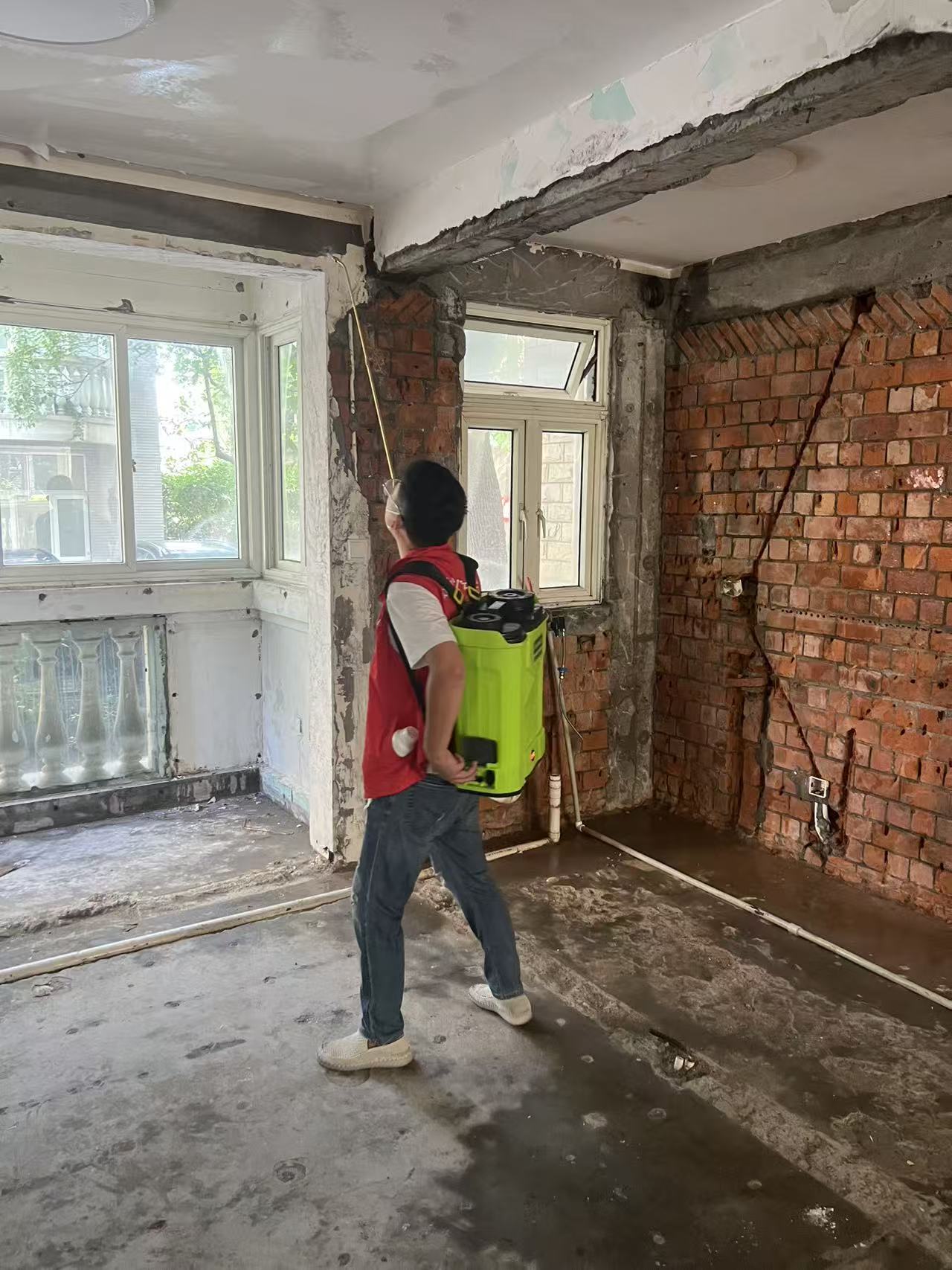 杭州市白蚁防治站：遂川灭白蚁价格指南：如何高效防治白蚁并控制成本