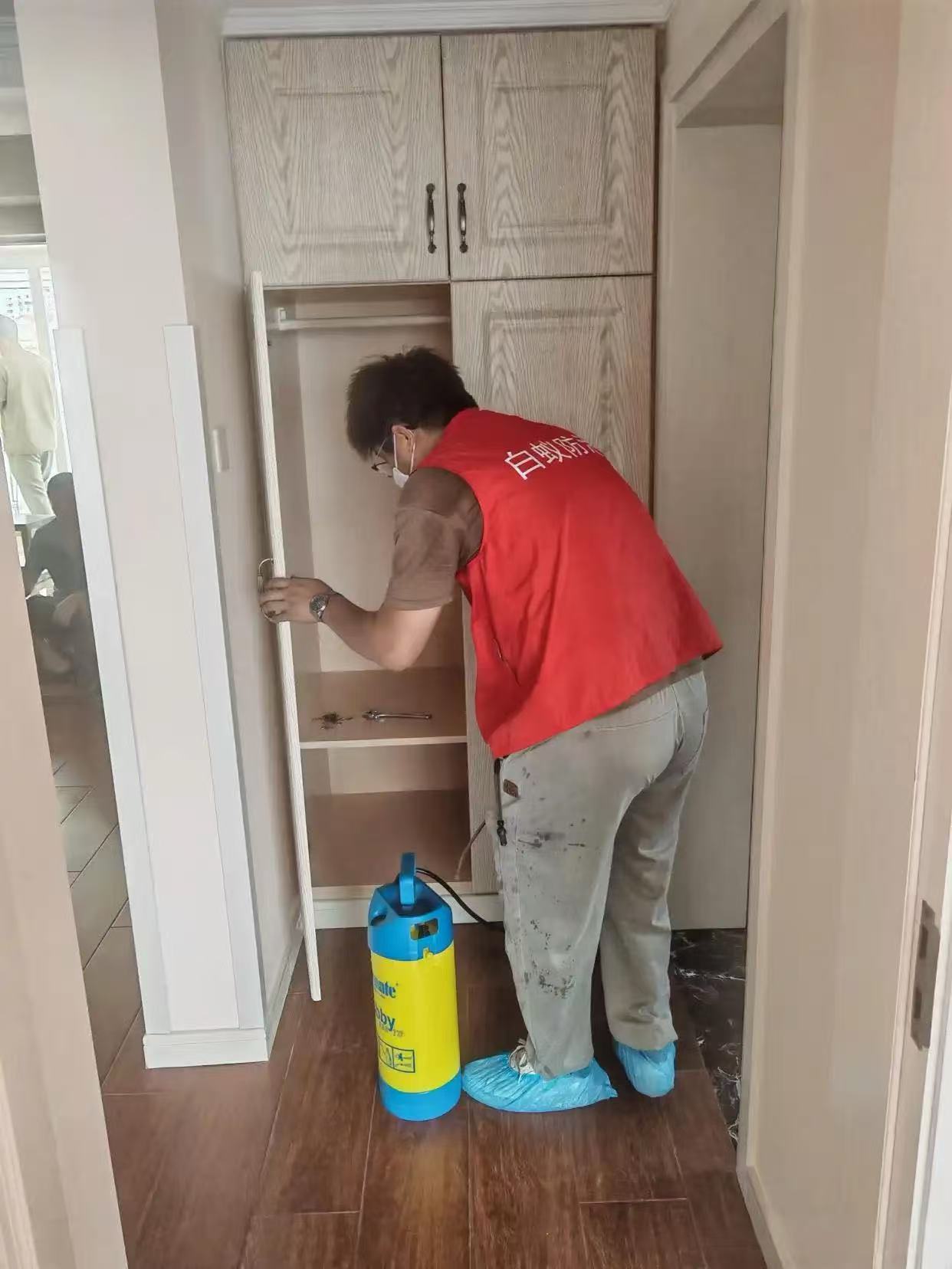 杭州市白蚁防治站：新兴白蚁防治中心：守护家园的绿色卫士