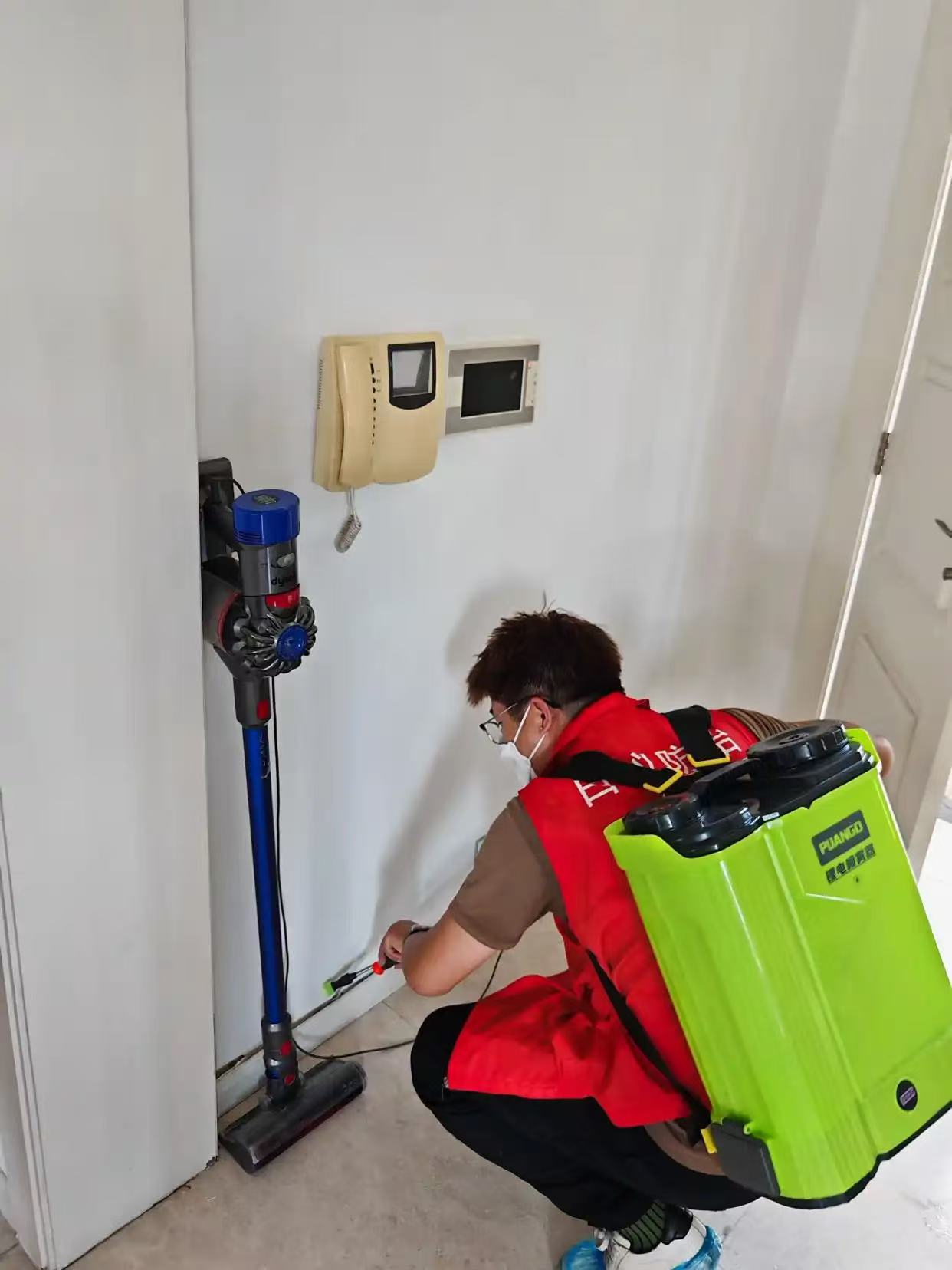 白蚁军团蚁王动画：微观世界的史诗冒险