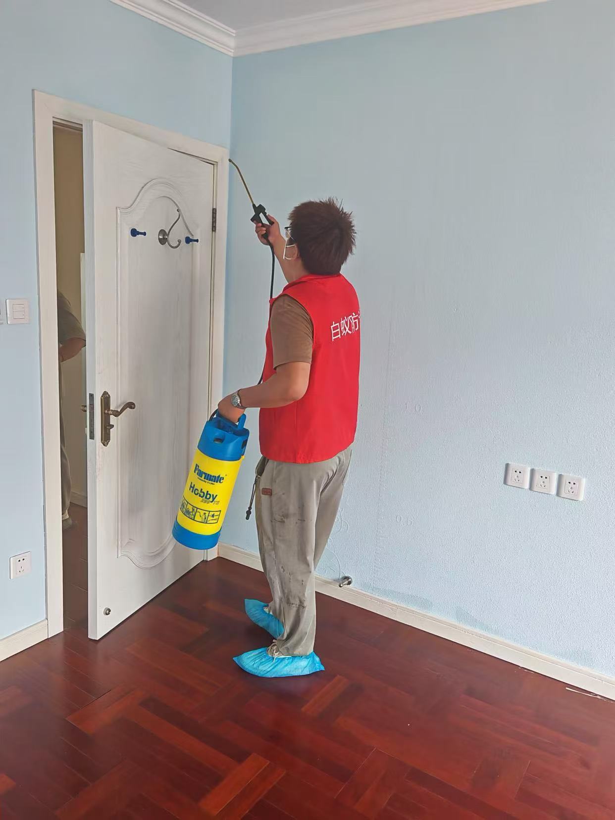 杭州市白蚁防治站：白蚁一般飞多远：揭秘白蚁的飞行能力与生态影响