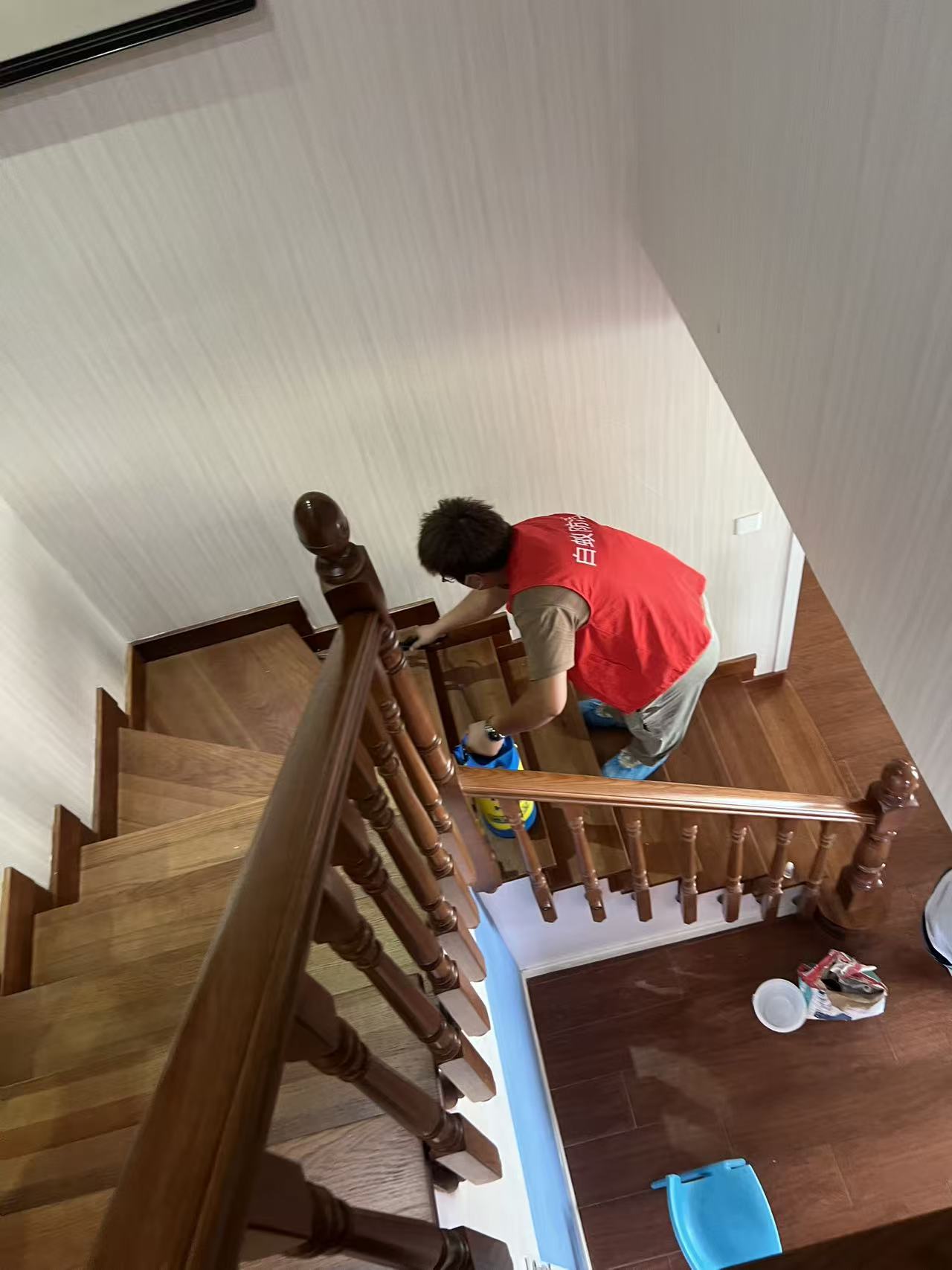 油茶树如何防治白蚁害虫：综合防治策略与实践指南