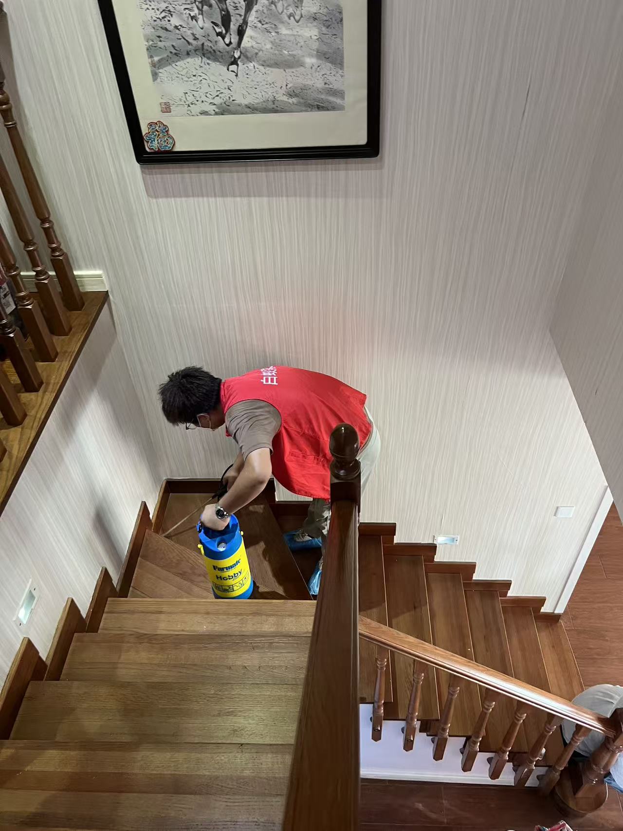 红蚁vs白蚁和蚂蚁：揭秘昆虫世界的生存之战