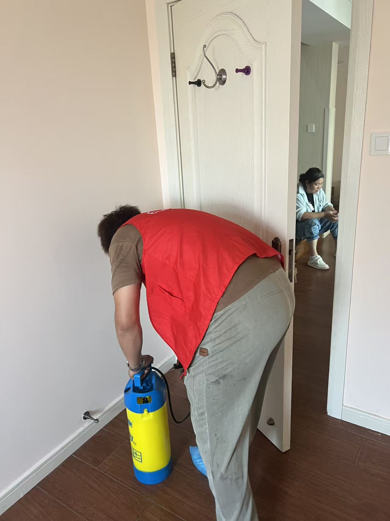 杭州市白蚁防治站：白蚁黄蚁消灭方向：科学防治与长效管理指南