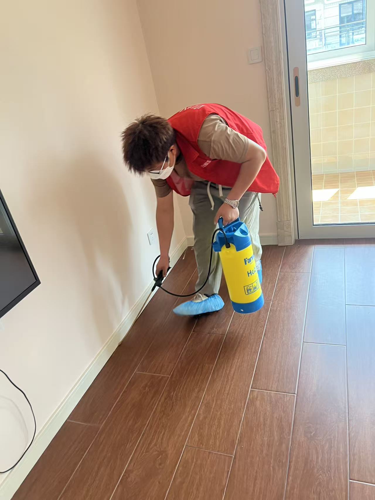 杭州市白蚁防治站：惠安白蚁防治销售店：守护家园的绿色卫士