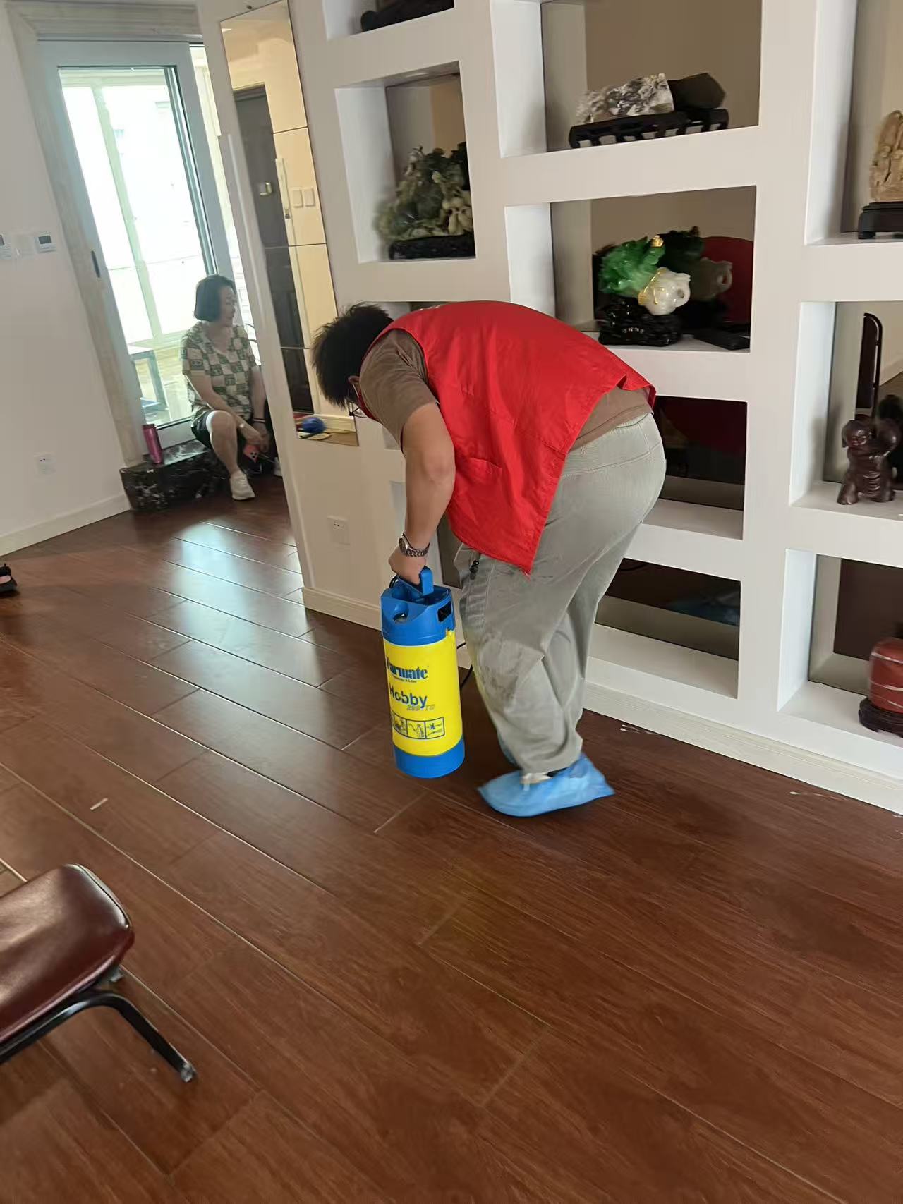 喀什有没有白蚁？深入探究喀什地区的白蚁问题