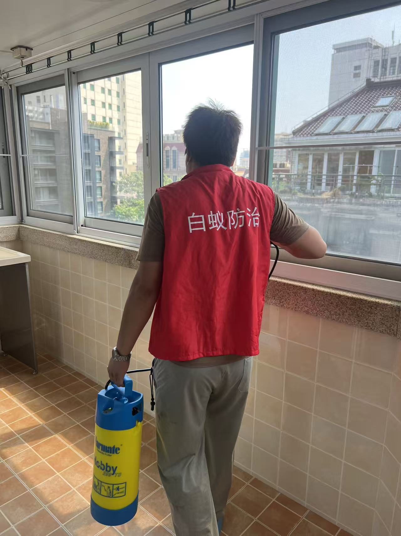 如何消灭家中白蚁：全面指南与实用方法