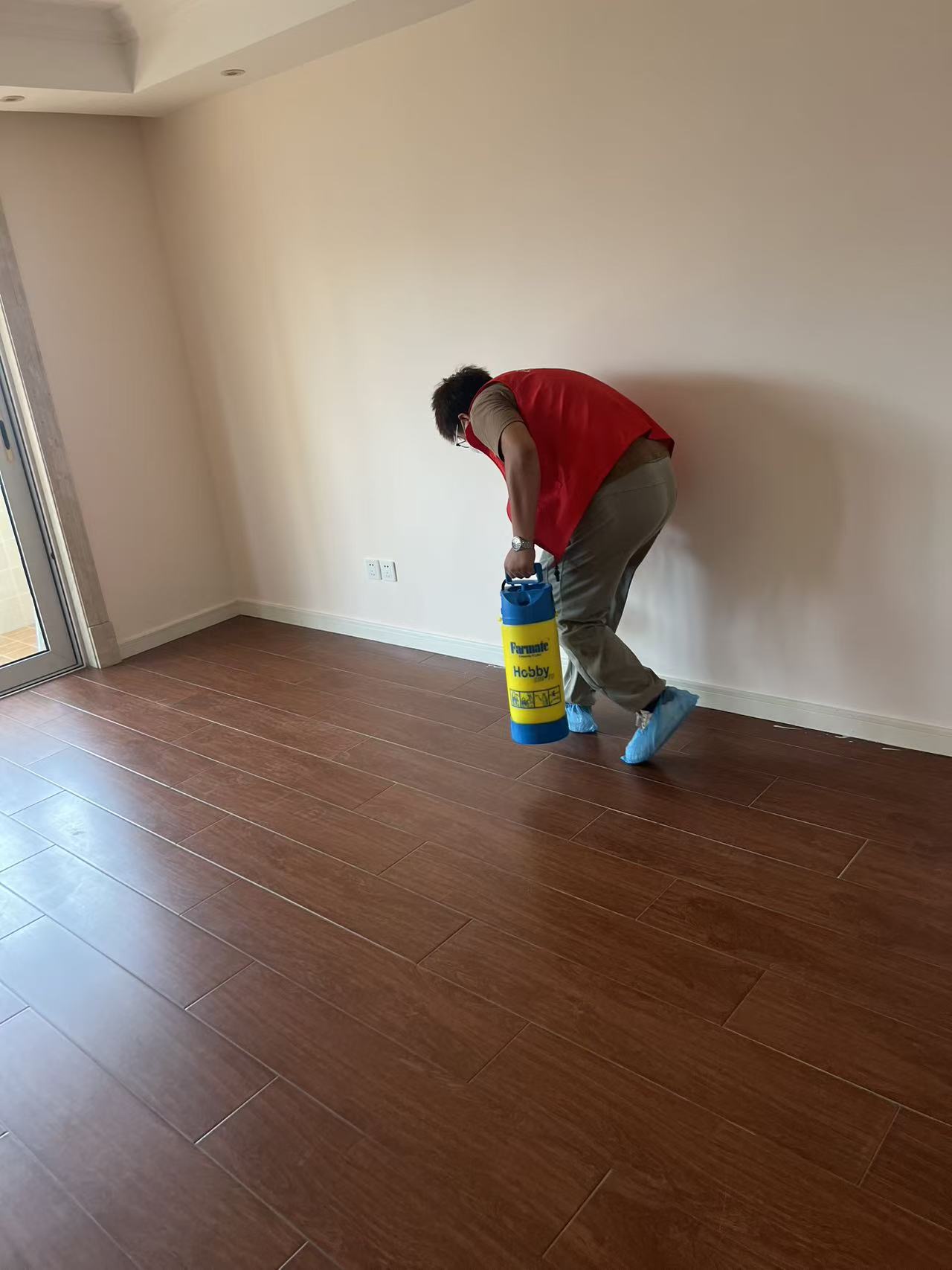 杀除白蚁方法：全面指南与实用技巧