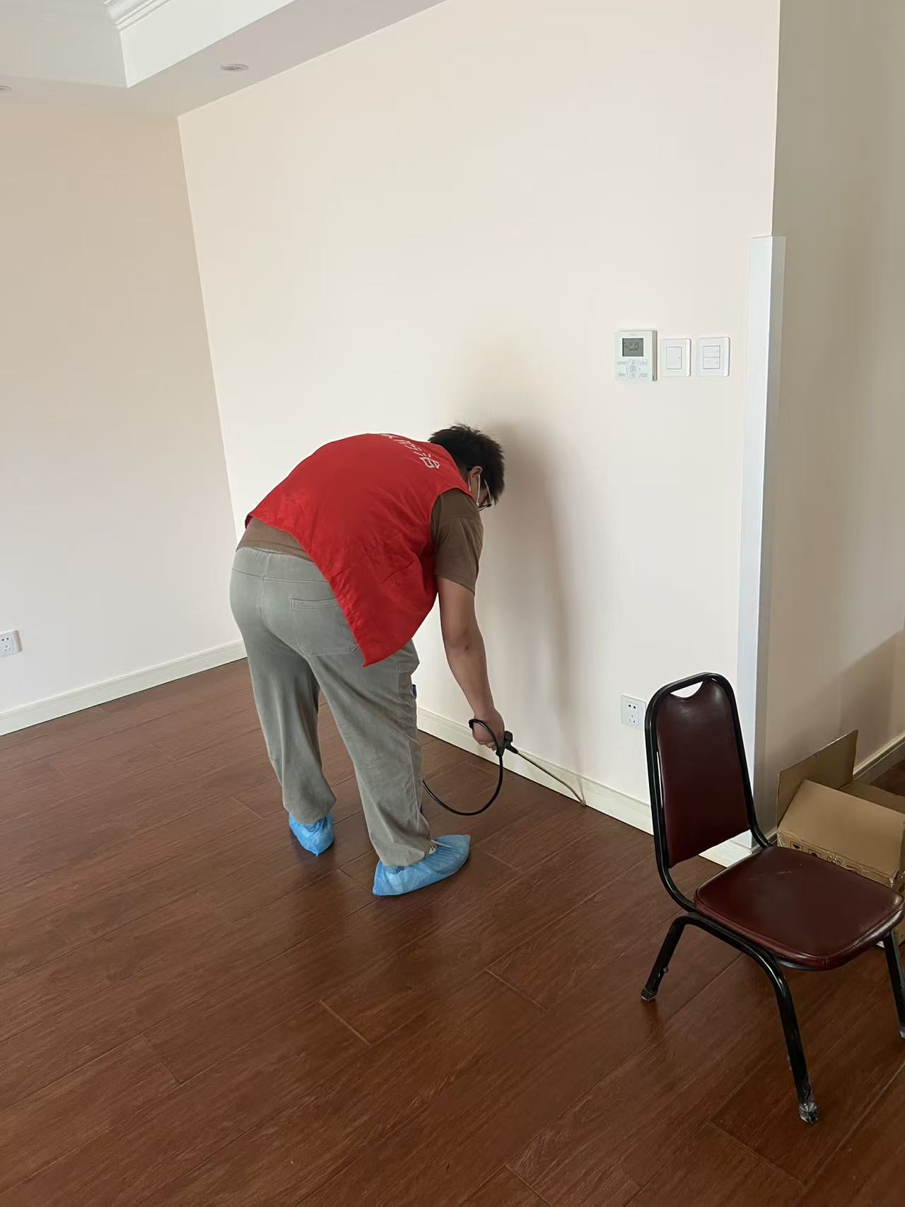 杭州市白蚁防治站：楼顶木屋有白蚁吗？揭秘木结构建筑的白蚁隐患与防治之道