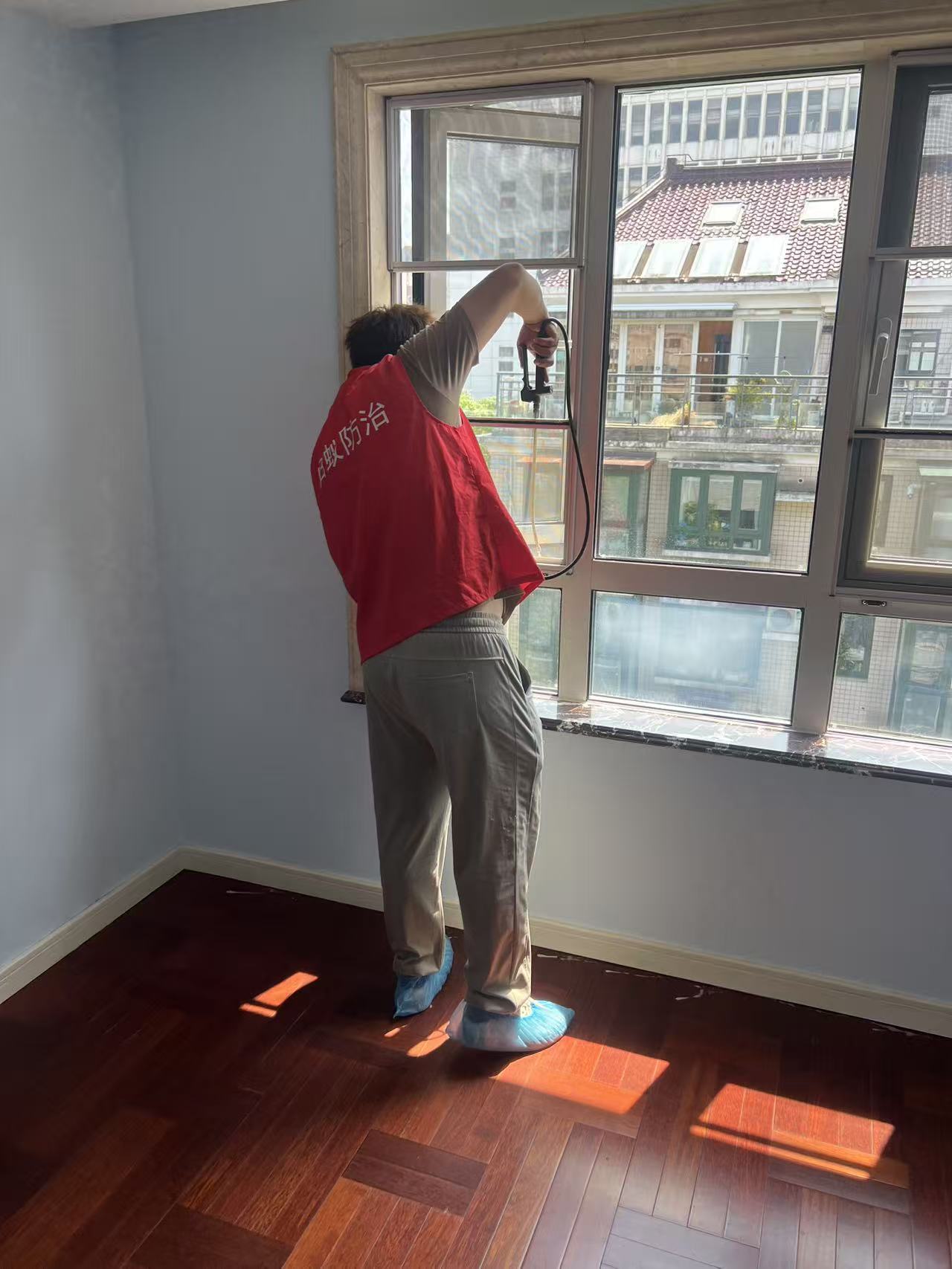 杭州市白蚁防治站：白蚁幼虫多久孵化卵：揭秘白蚁生命周期中的关键阶段