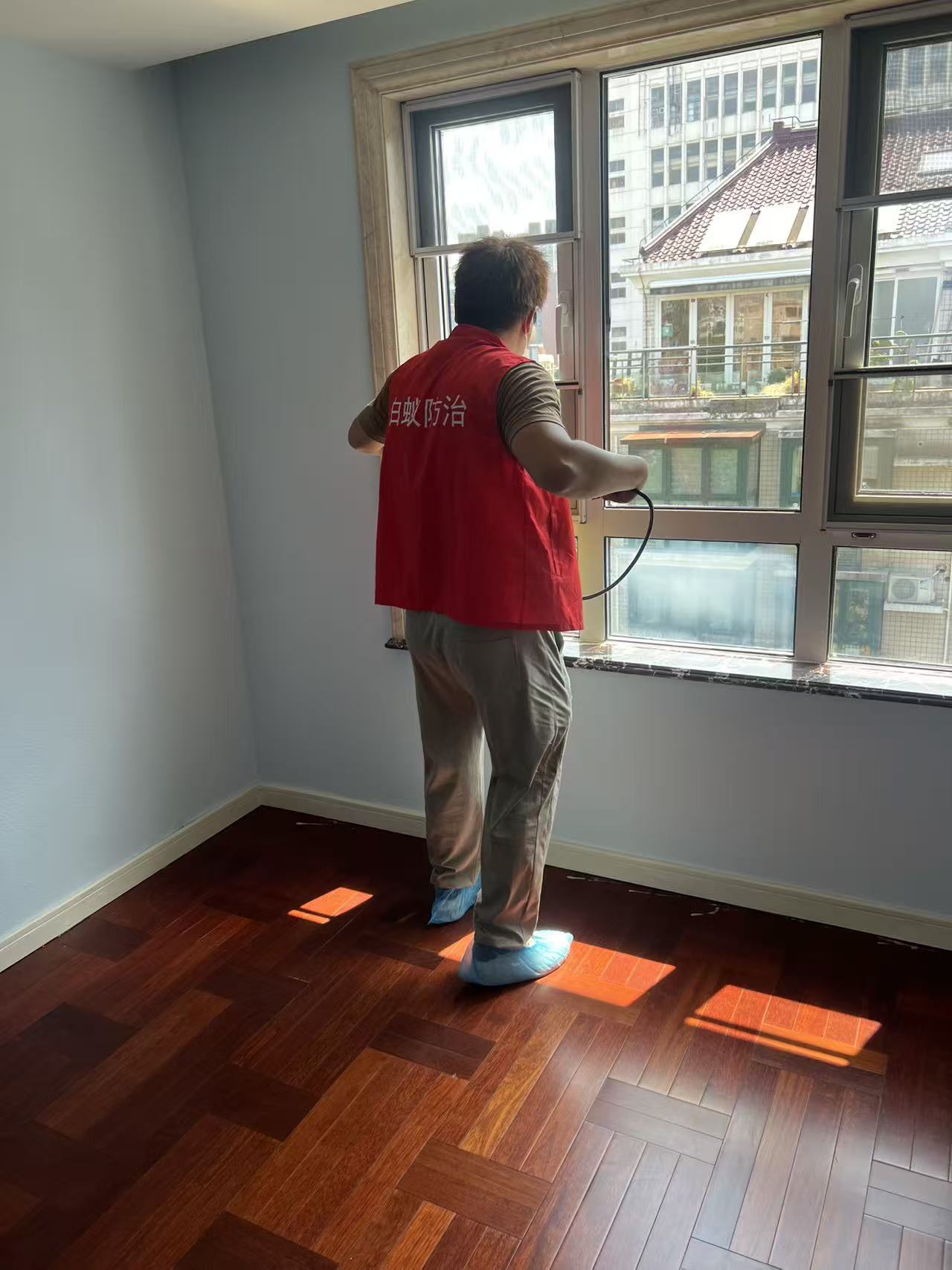 杭州市白蚁防治站：白蚁巢为什么硬化了？揭秘自然界的建筑奇迹