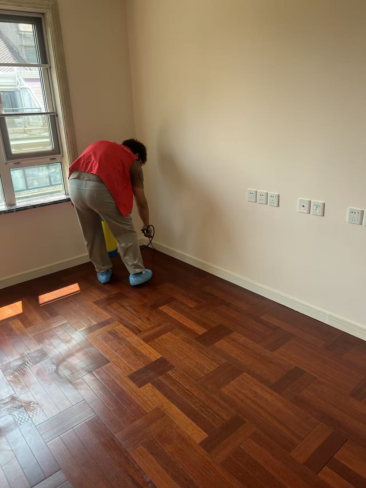 杭州市白蚁防治站：南安市防治白蚁：守护家园的绿色防线