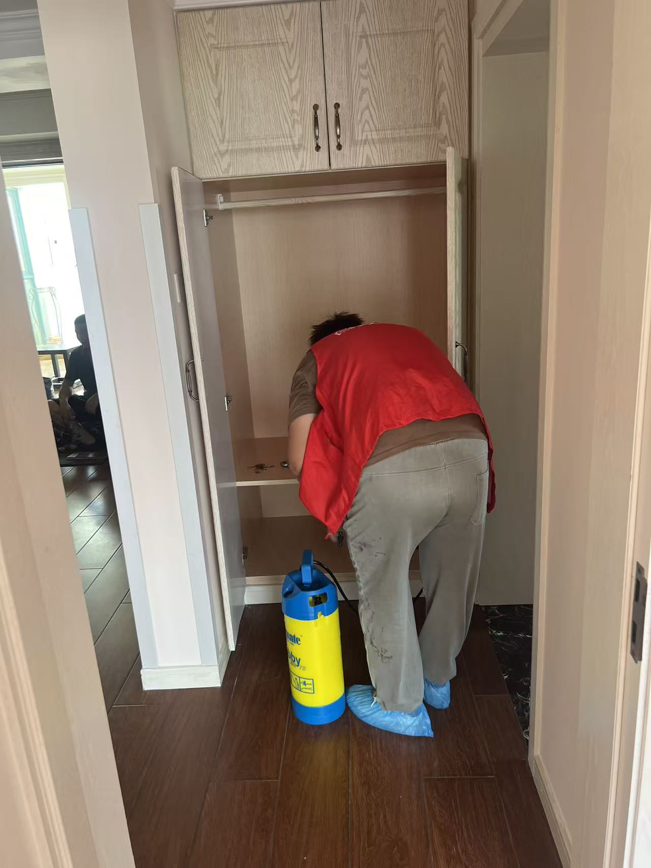 羽化白蚁怎么灭：全面防治指南与实用技巧