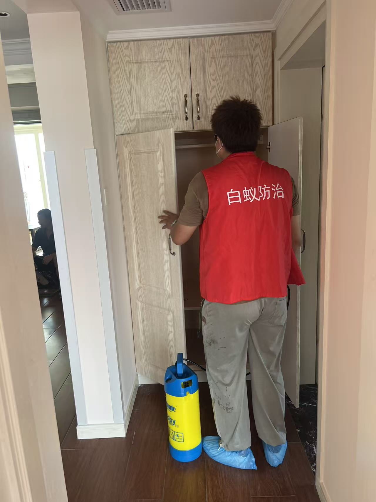 杭州市白蚁防治站：白蚁吃蚕丝：自然界的隐秘破坏者与文化遗产的威胁