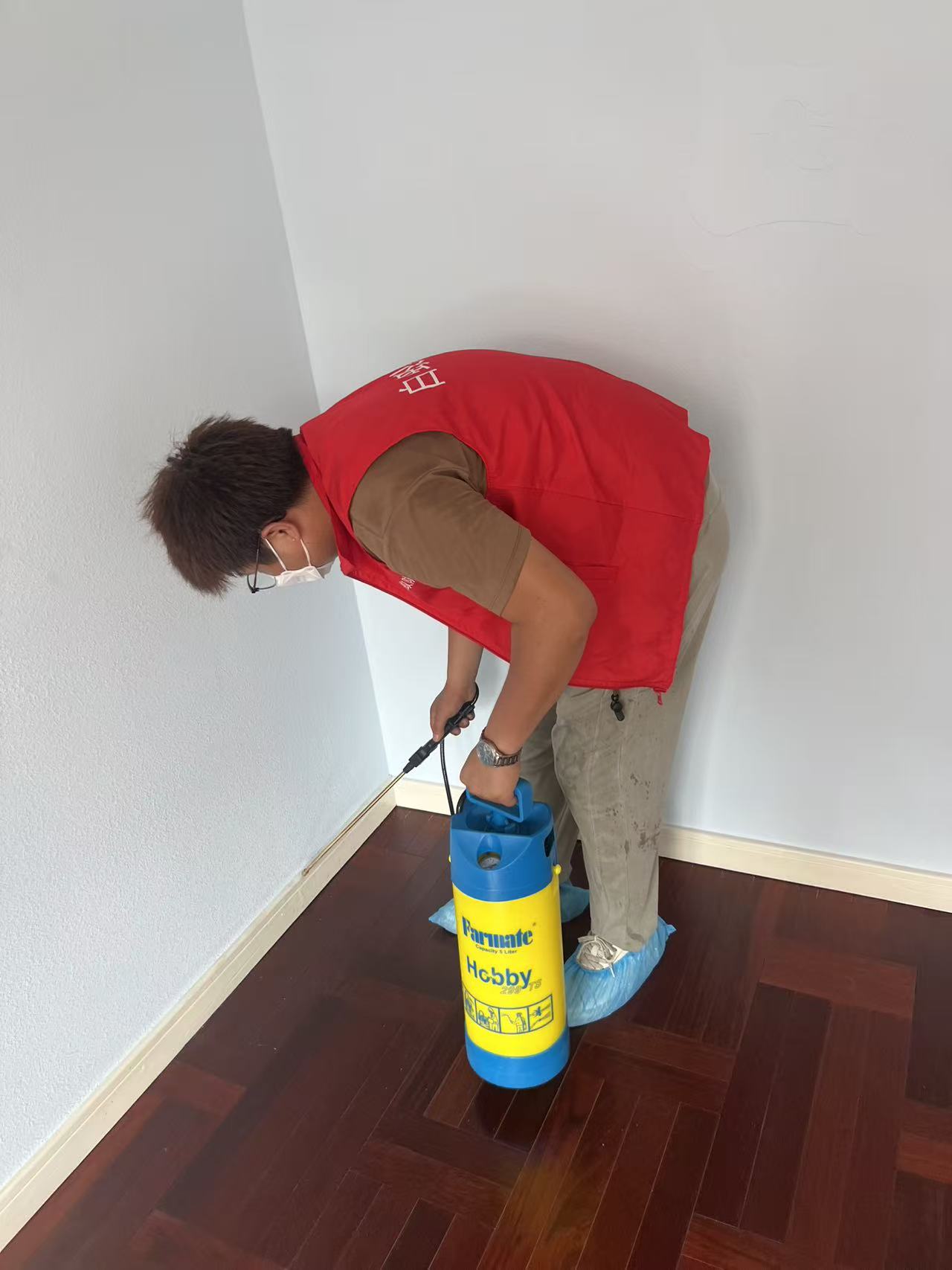 如何消灭家中白蚁：全面指南与实用方法