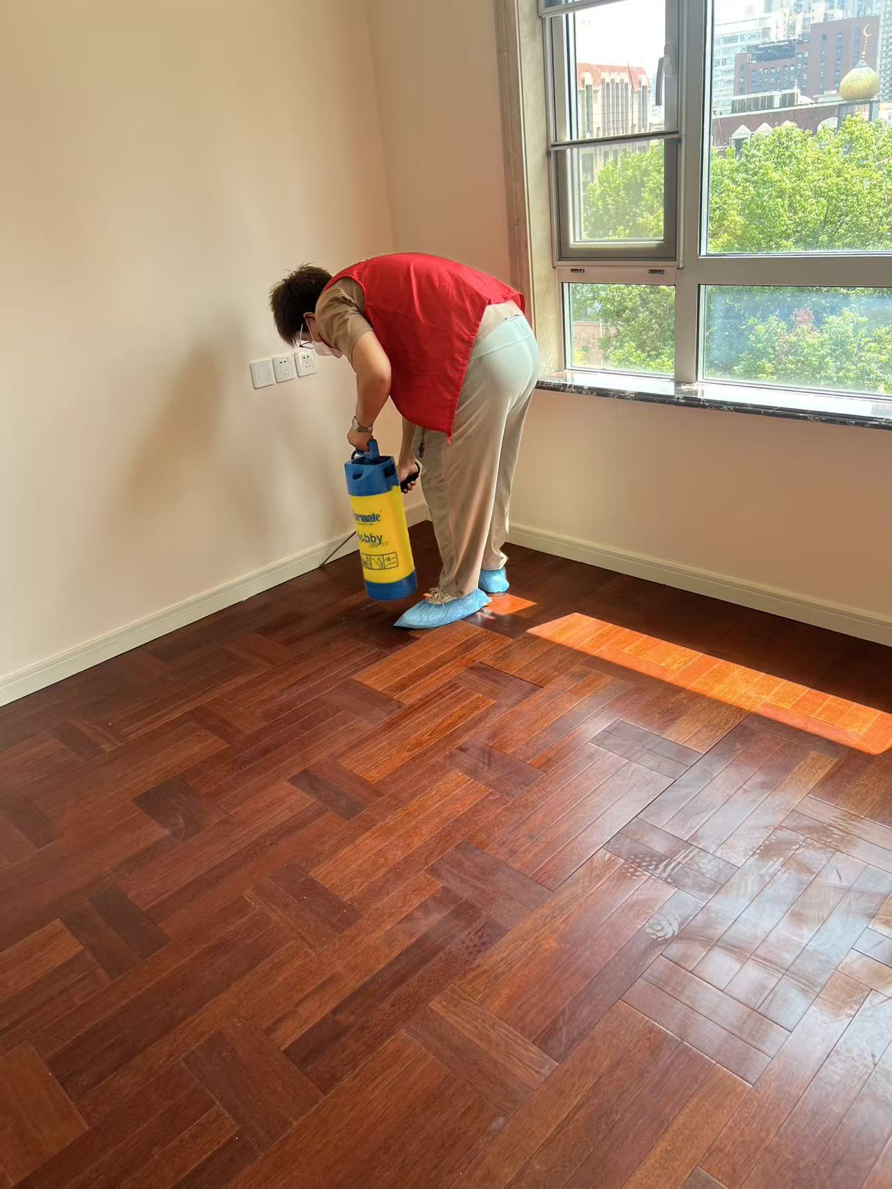 杭州市白蚁防治站：高楼大厦白蚁防治方法：守护现代建筑的隐形防线