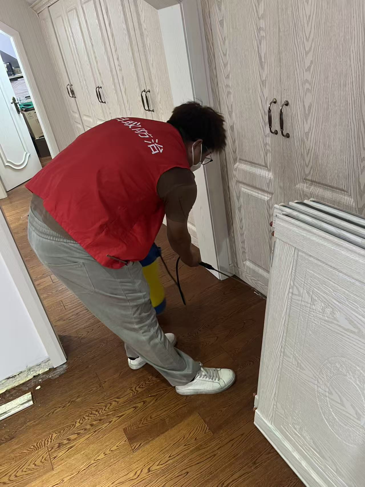 黄埔小区白蚁防治：守护家园安宁的全面指南