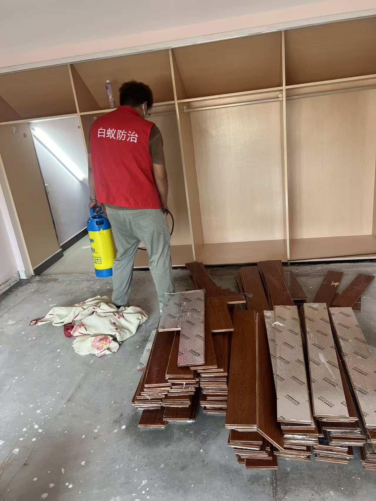 高科技找白蚁窝：现代科技如何精准定位白蚁巢穴