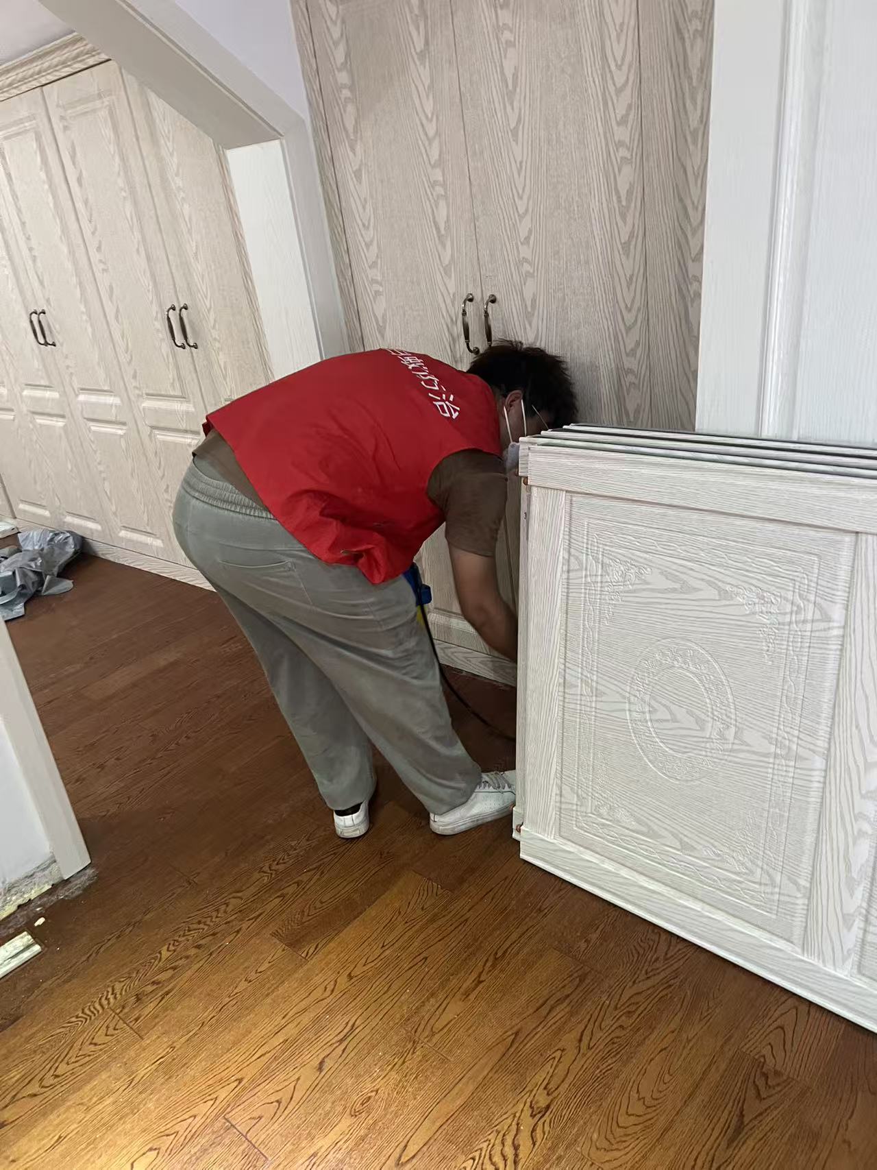 杭州市白蚁防治站：新房装修的白蚁防治：守护家居安全的必备指南