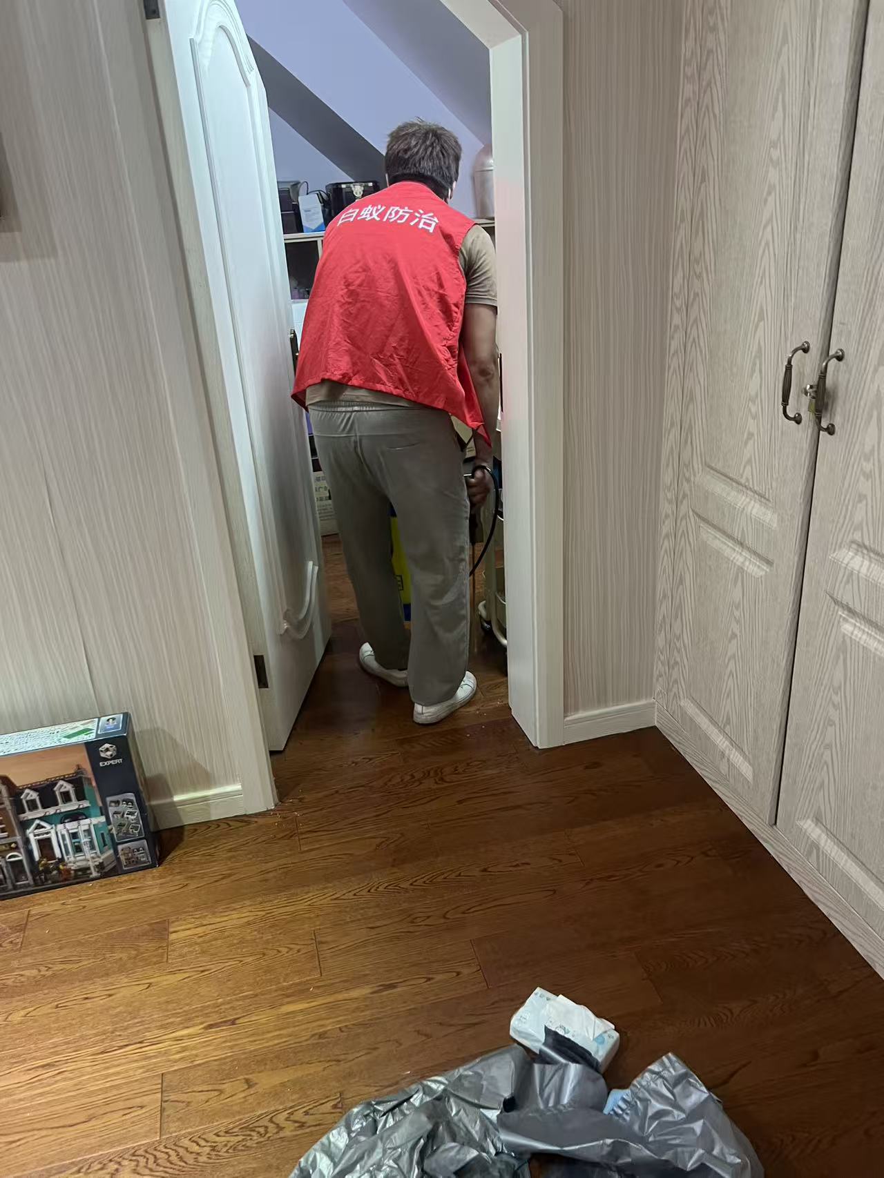 信宜杀白蚁哪家正规？专业白蚁防治公司推荐与选择指南