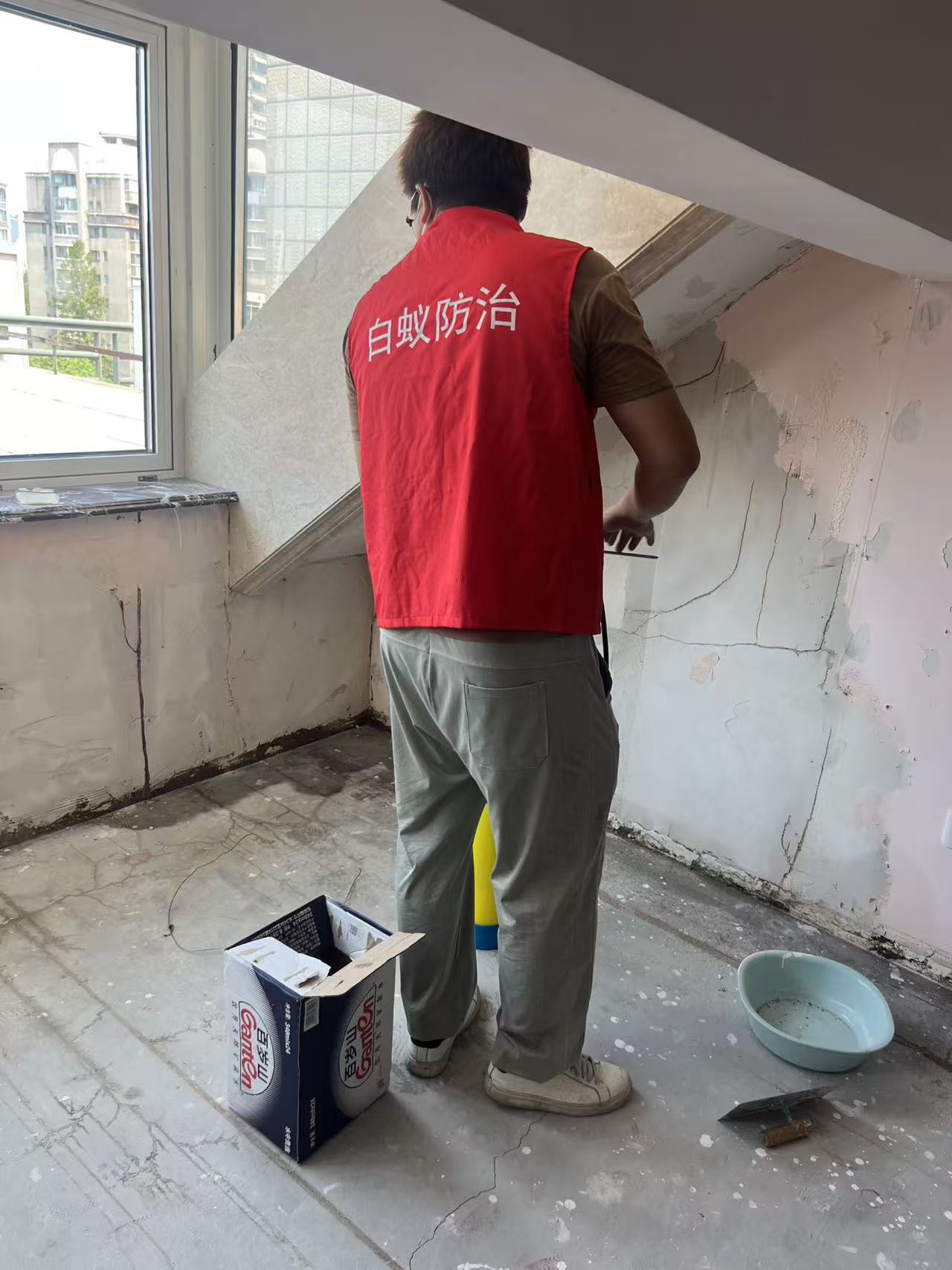 杭州市白蚁防治站：白蚁巢为什么硬化了？揭秘自然界的建筑奇迹