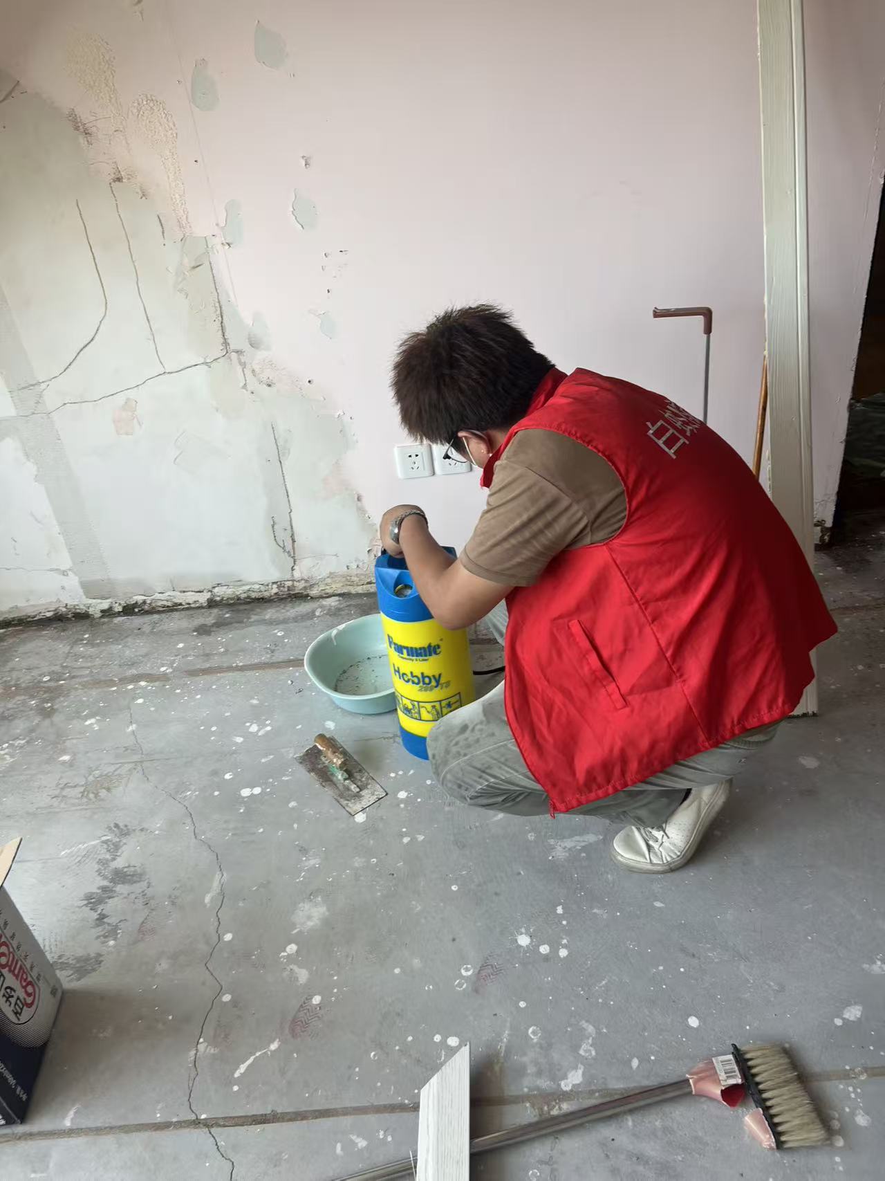 杭州市白蚁防治站：为什么屋内会有白蚁？揭秘白蚁入侵的五大原因与预防策略