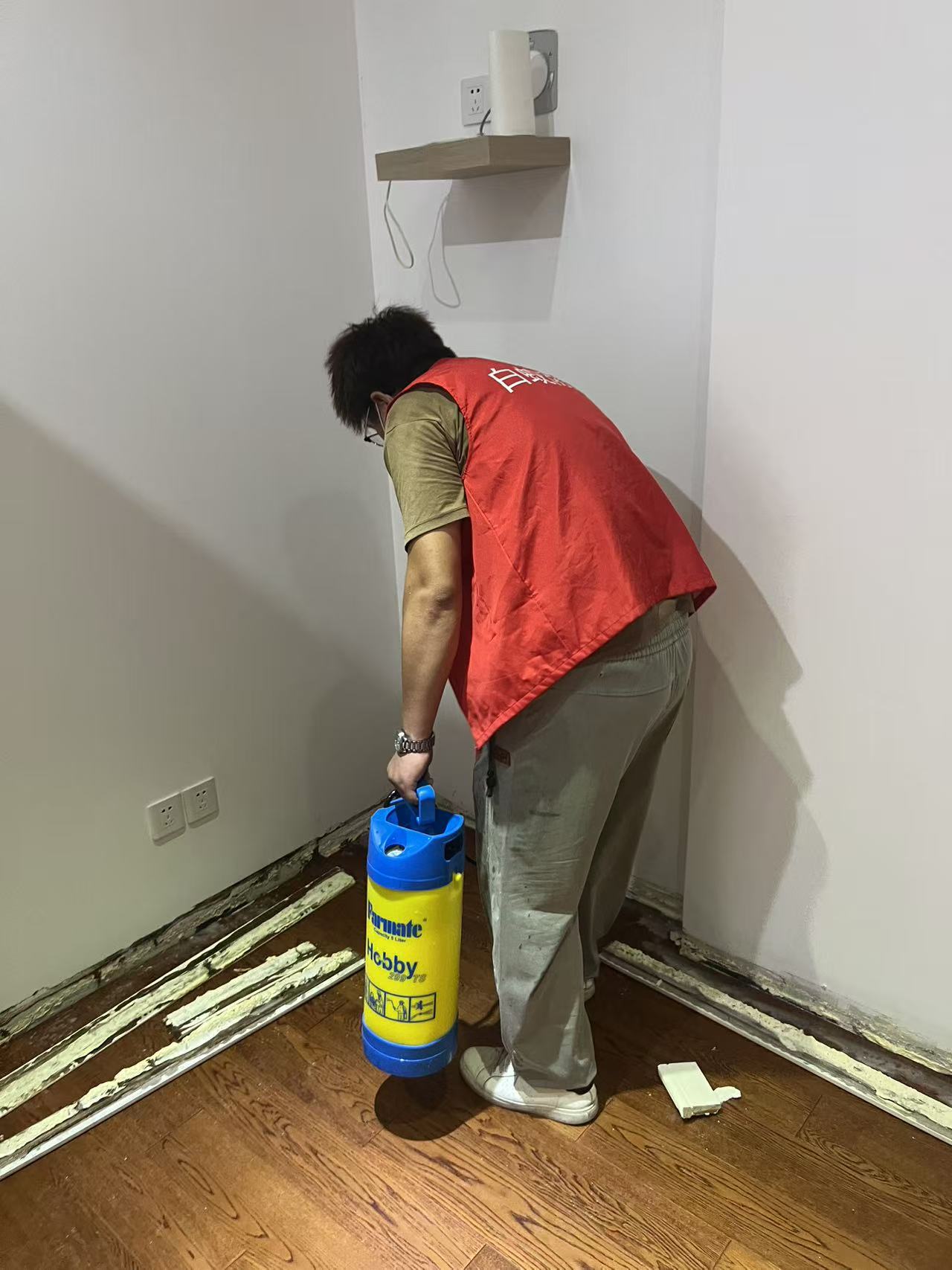 杭州市白蚁防治站：树木白蚁防治工具有哪些：全面解析与实用指南