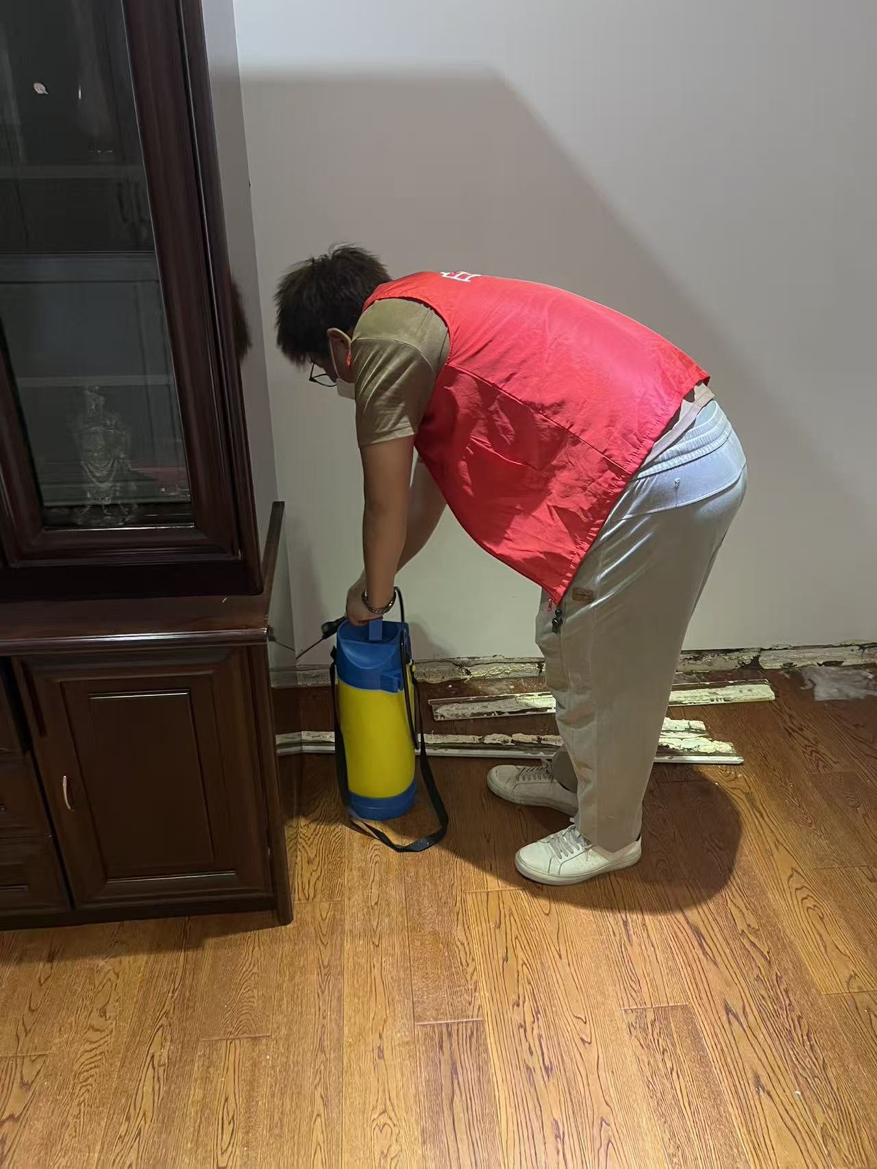 苗围白蚁防治：守护绿色家园的生态防线