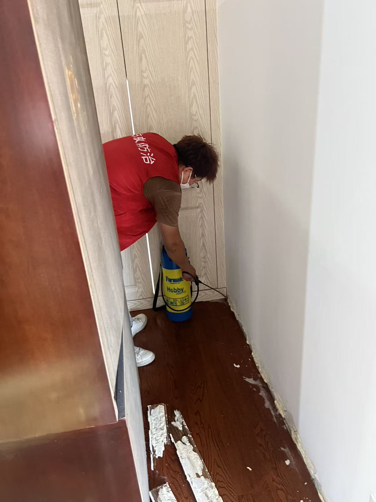 白蚁都住在哪里？揭秘这些隐秘巢穴的生存智慧