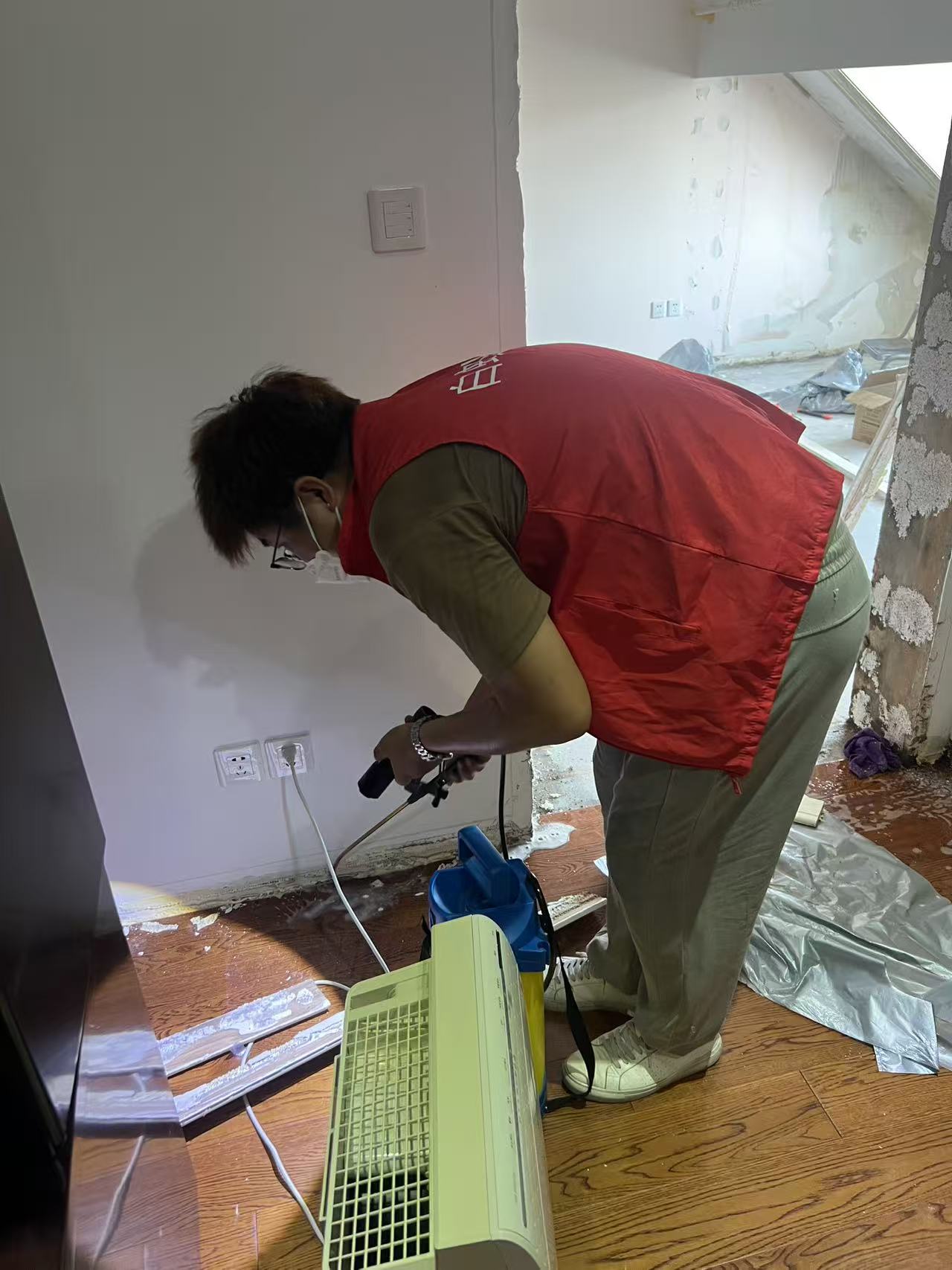 白蚁爬在身上：一场与微小入侵者的惊悚邂逅