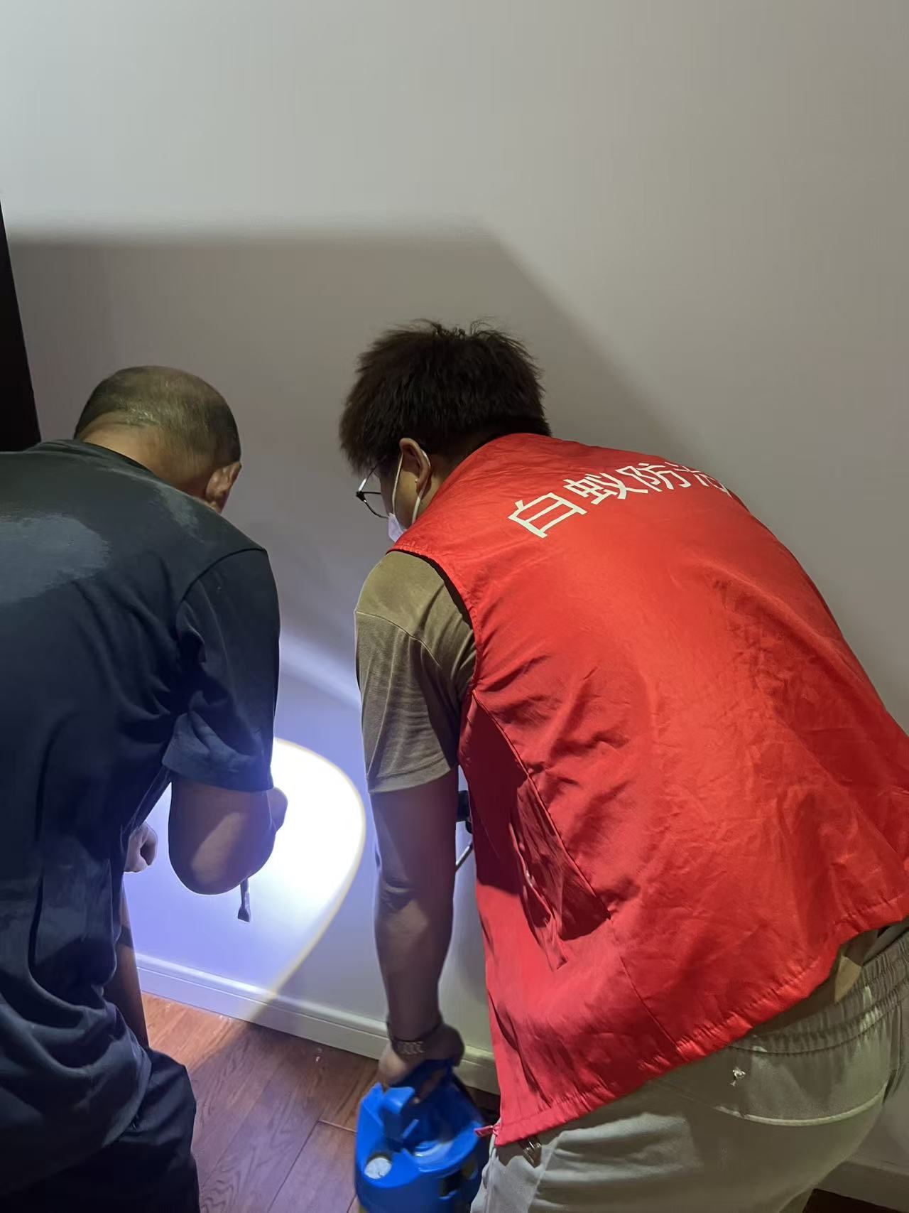 如何消灭家中白蚁：全面指南与实用方法