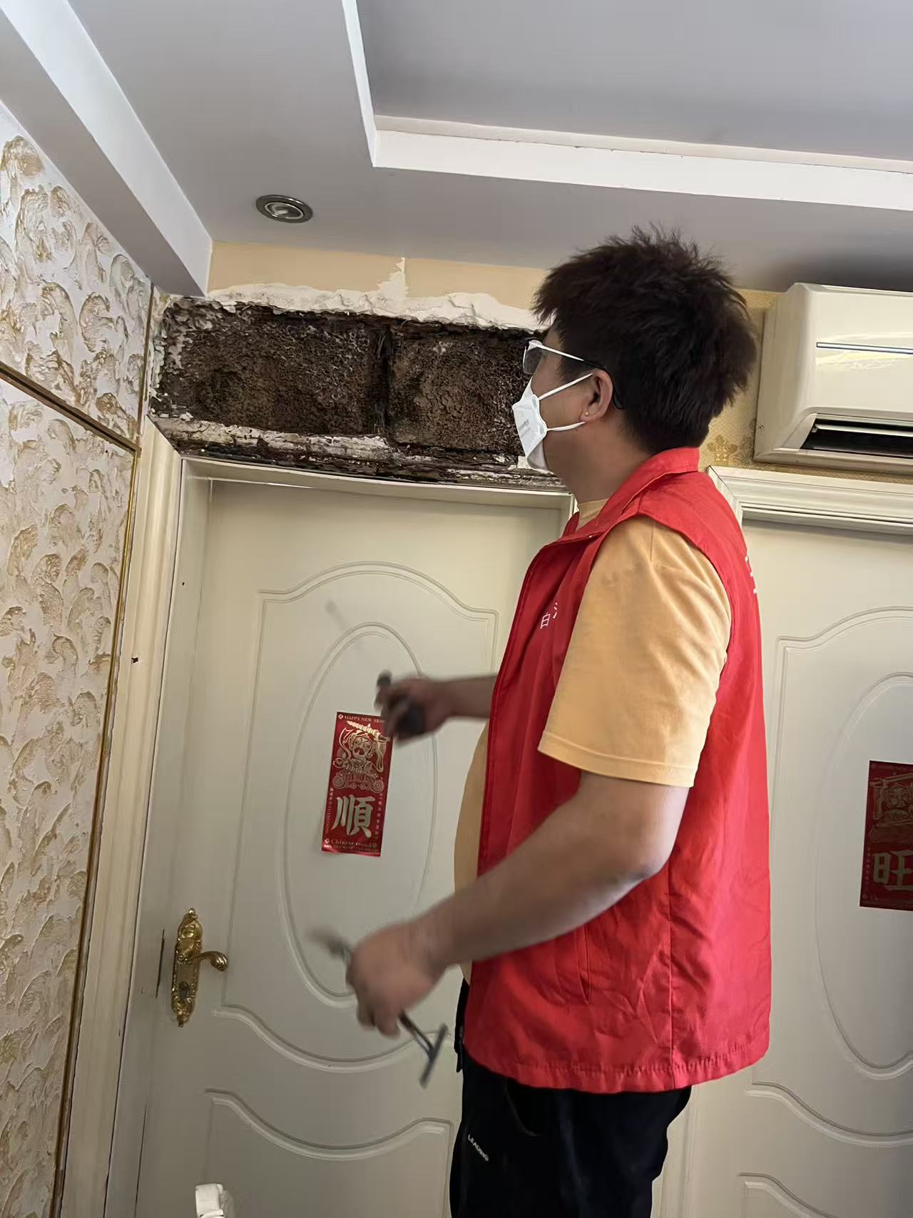 杭州市白蚁防治站：晋安附近白蚁预防：守护家园的必备指南