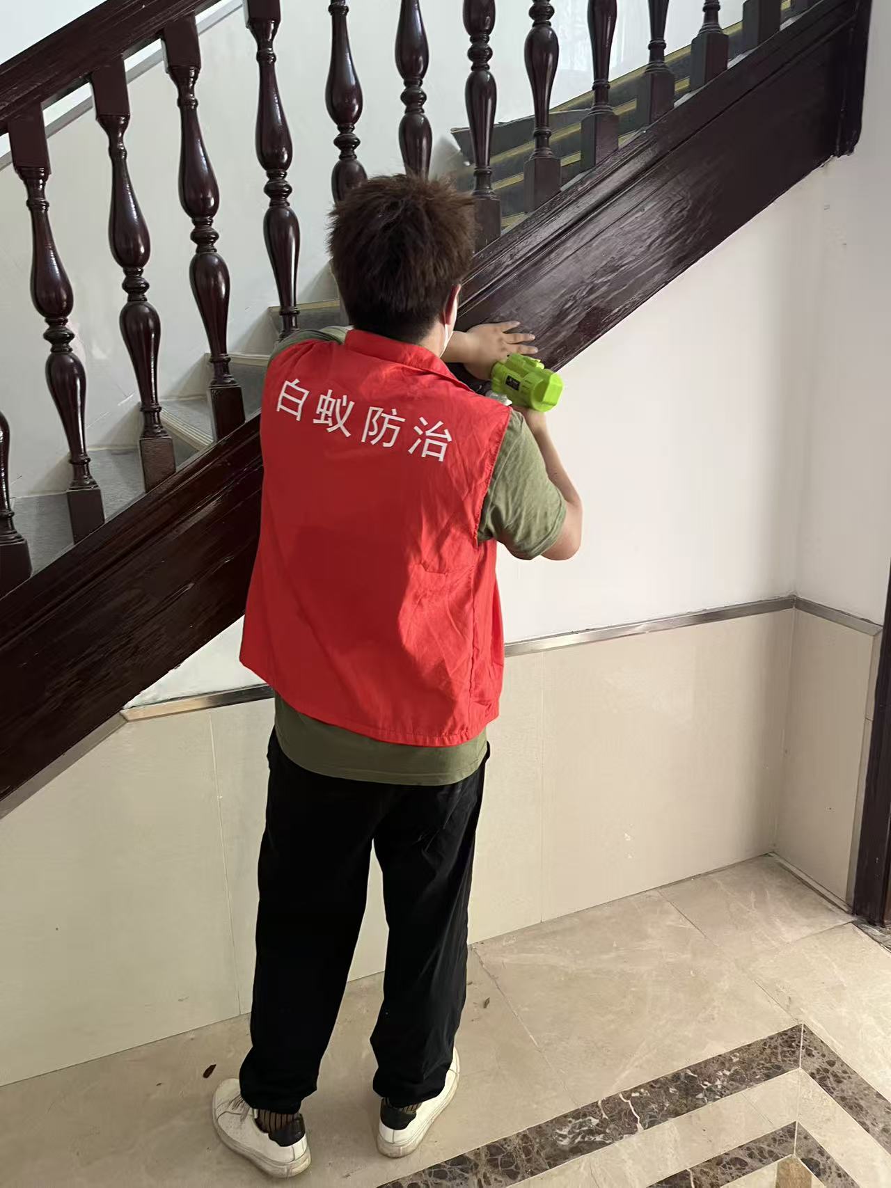 梦见树根里好多白蚁：梦境解析与心理启示