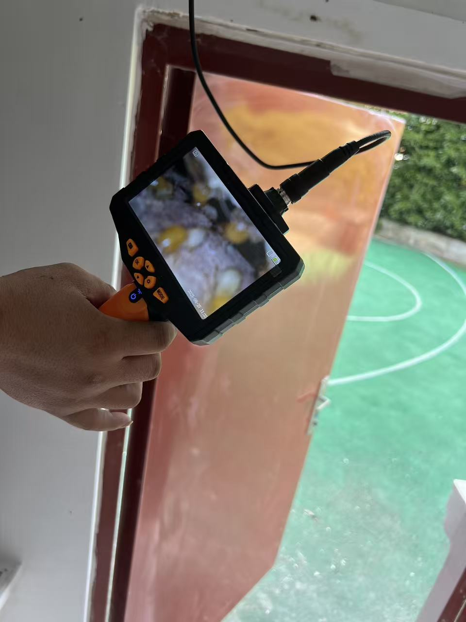 杭州市白蚁防治站：白蚁监测点有什么：揭秘白蚁监测系统的核心组件与功能