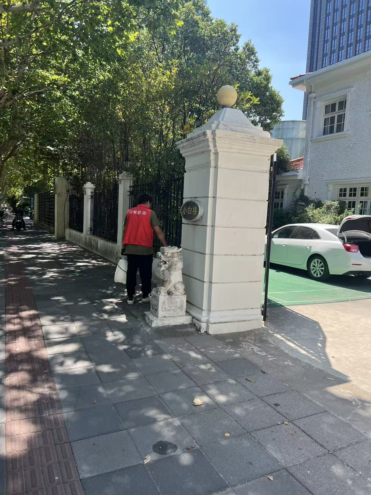 杭州市白蚁防治站：合生雅居实木板白蚁防治：守护家居安全的实用指南