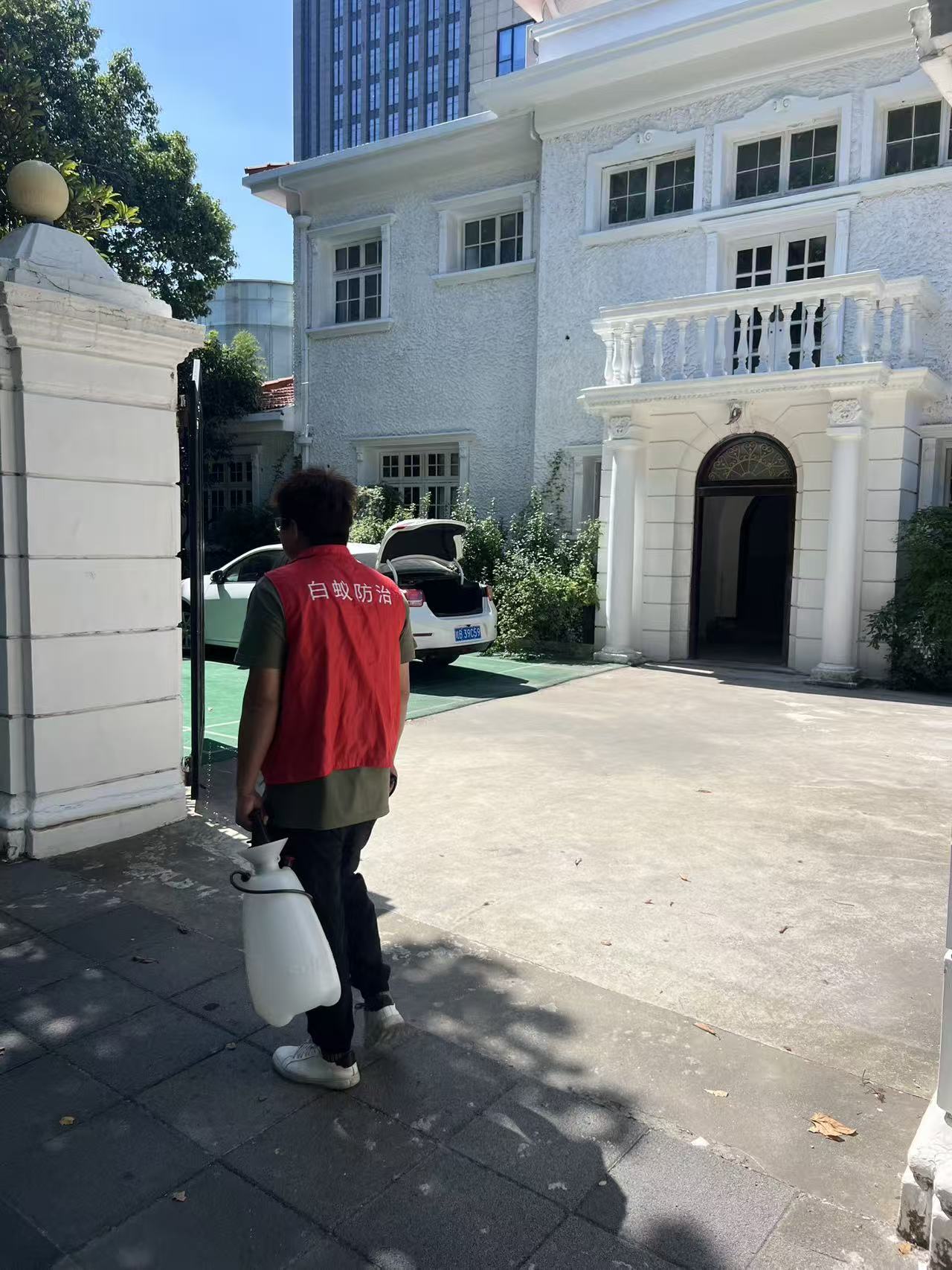 捕杀白蚁仪器的革新：守护家园的科技利器