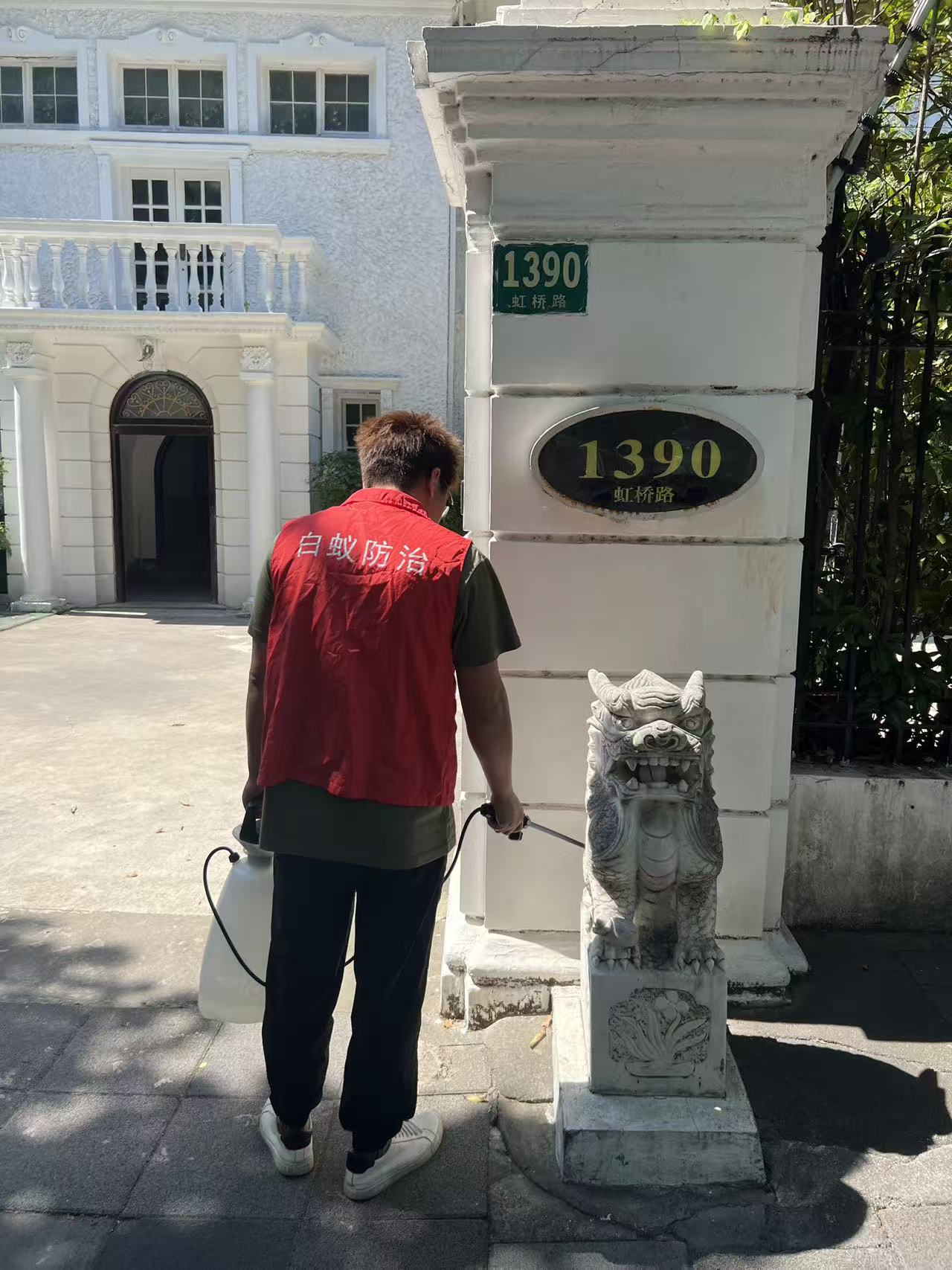 杭州市白蚁防治站：树木防虫涂白剂防白蚁：守护绿色生命的科学屏障