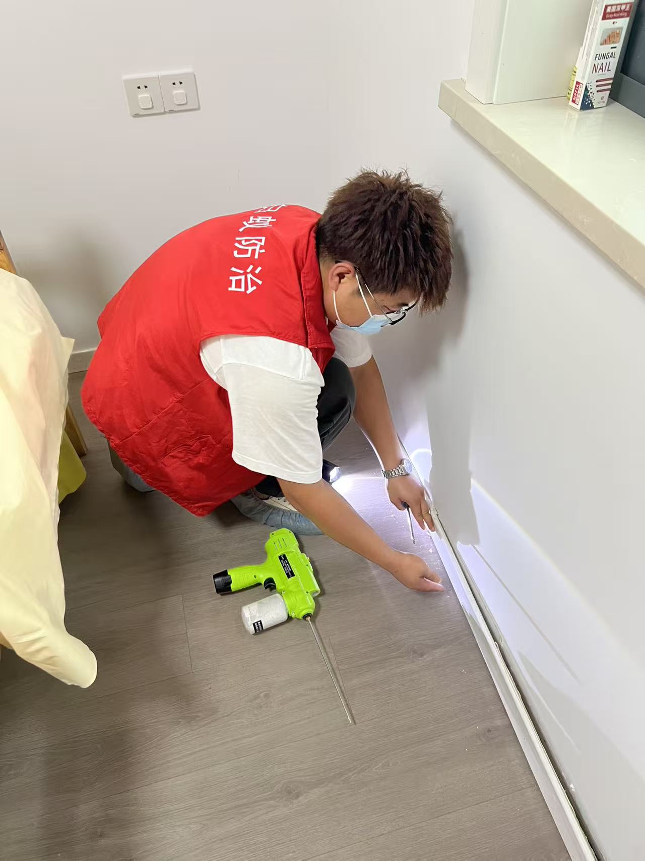 杭州市白蚁防治站：屋子里有白蚁：无声的威胁与应对之道