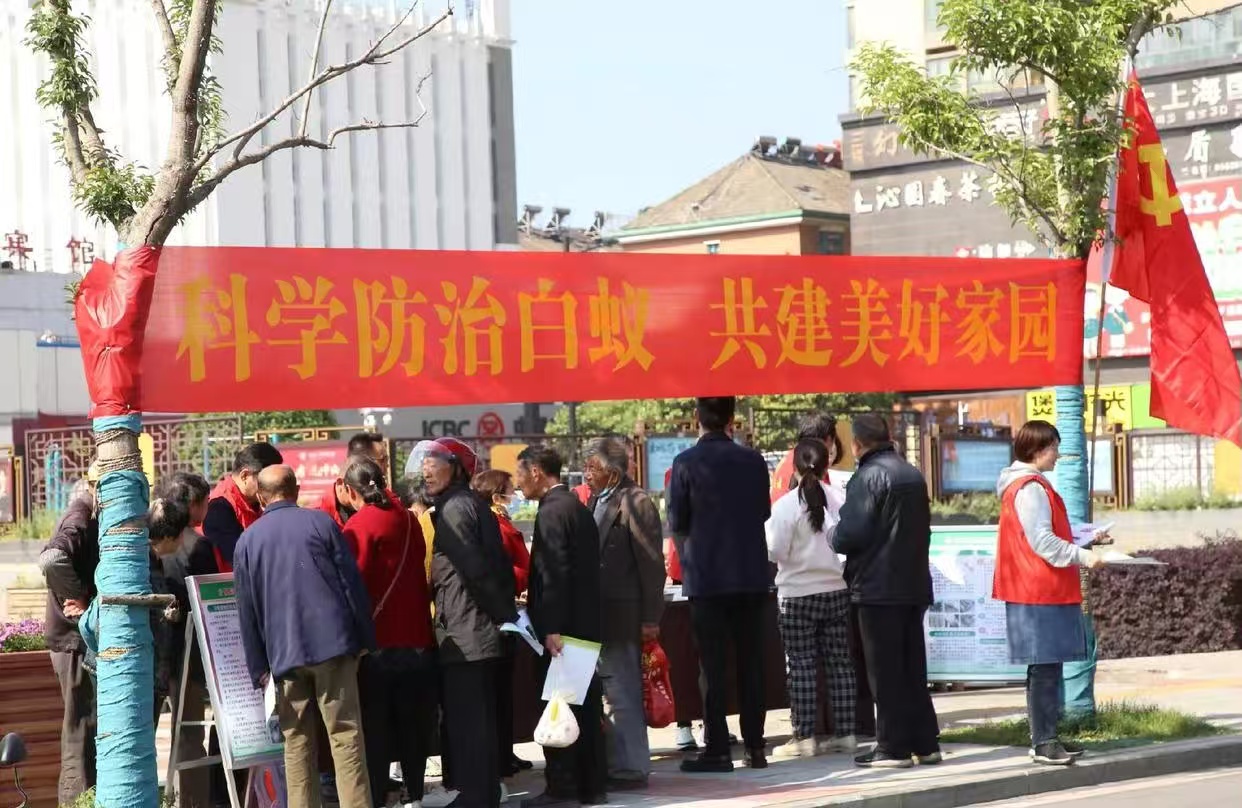 梦见树根里好多白蚁：梦境解析与心理启示