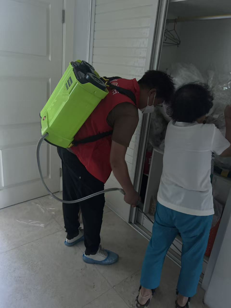 小叶榕白蚁病：城市绿化的隐形威胁与防治策略