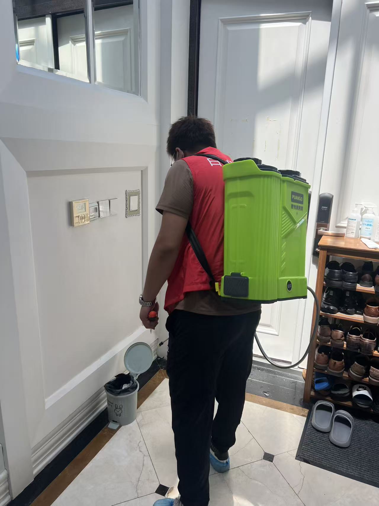 高效白蚁防治机构：守护家园的隐形卫士