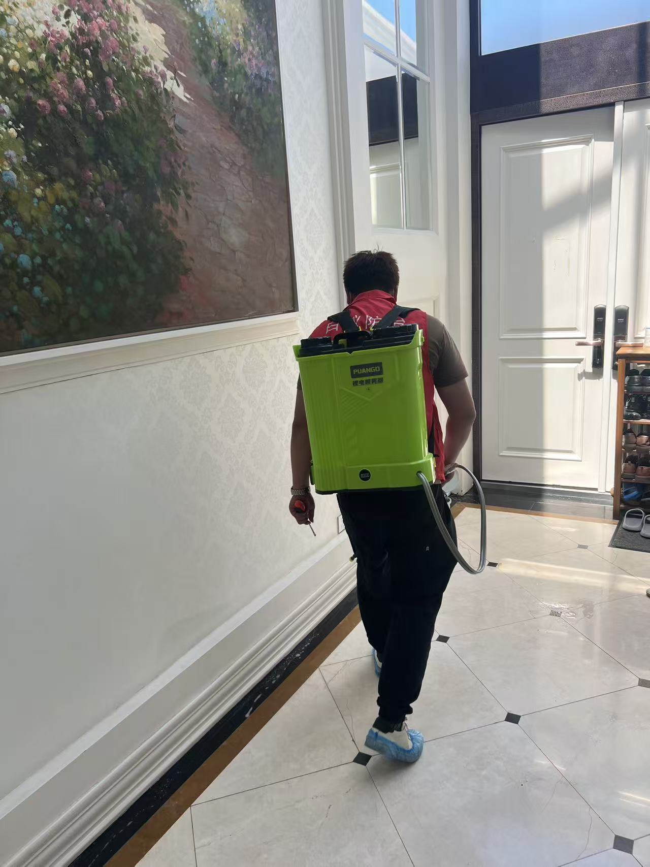 杭州市白蚁防治站：白蚁监测点有什么：揭秘白蚁监测系统的核心组件与功能