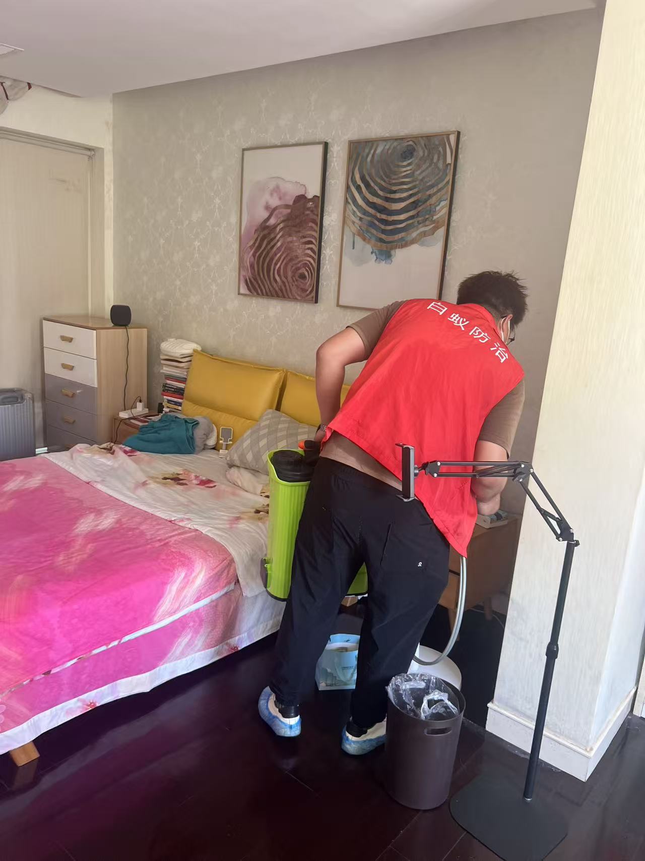 杭州市白蚁防治站：万友白蚁：守护家园的隐形卫士，专业防治白蚁的可靠选择