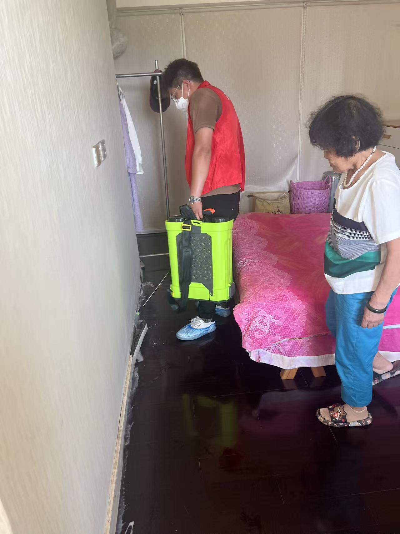 杭州市白蚁防治站：柏松能杀白蚁吗？探究植物驱虫特性与白蚁防治策略