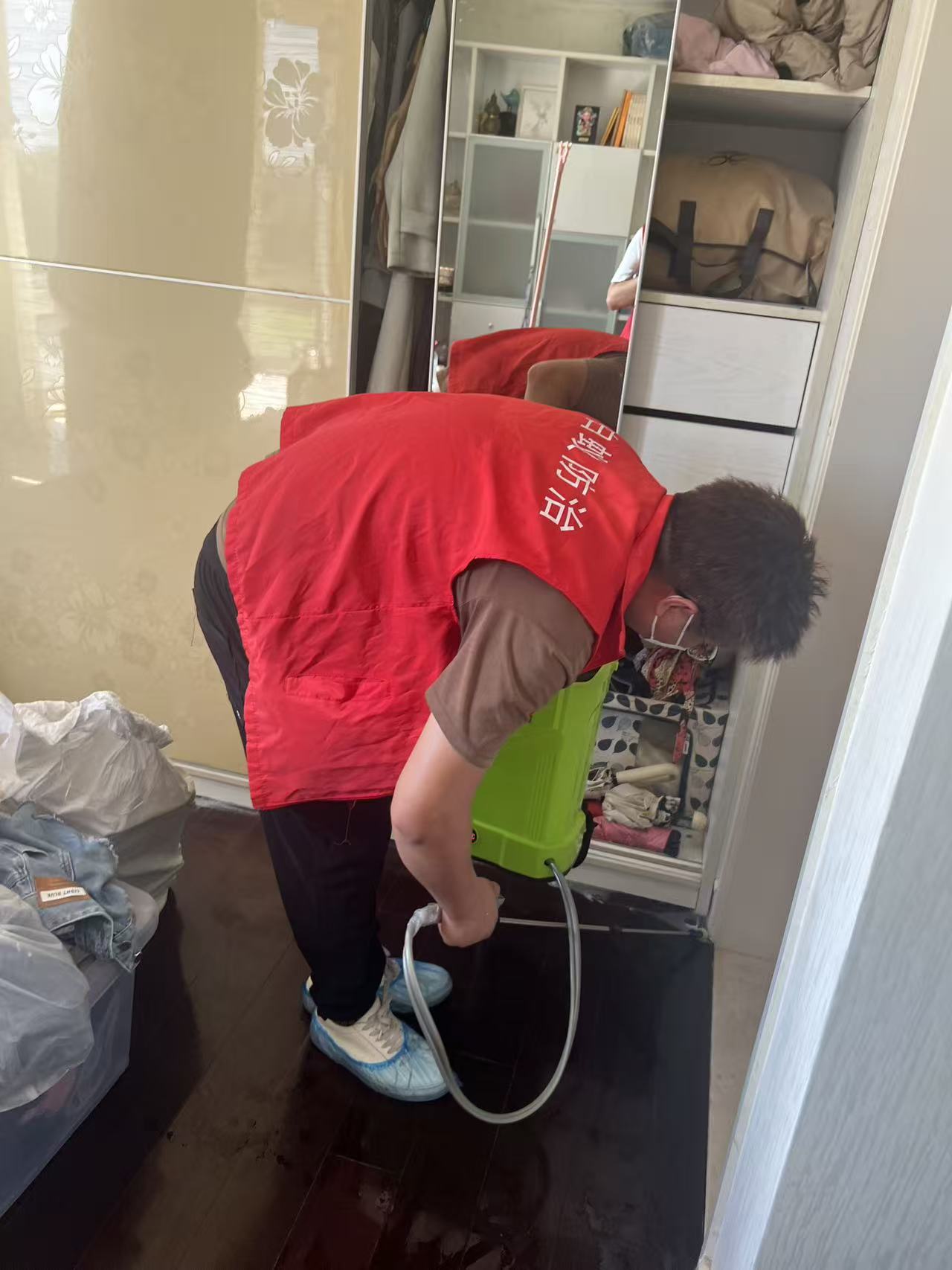 杭州市白蚁防治站：家里有白蚁怎么去掉：全面指南与实用技巧