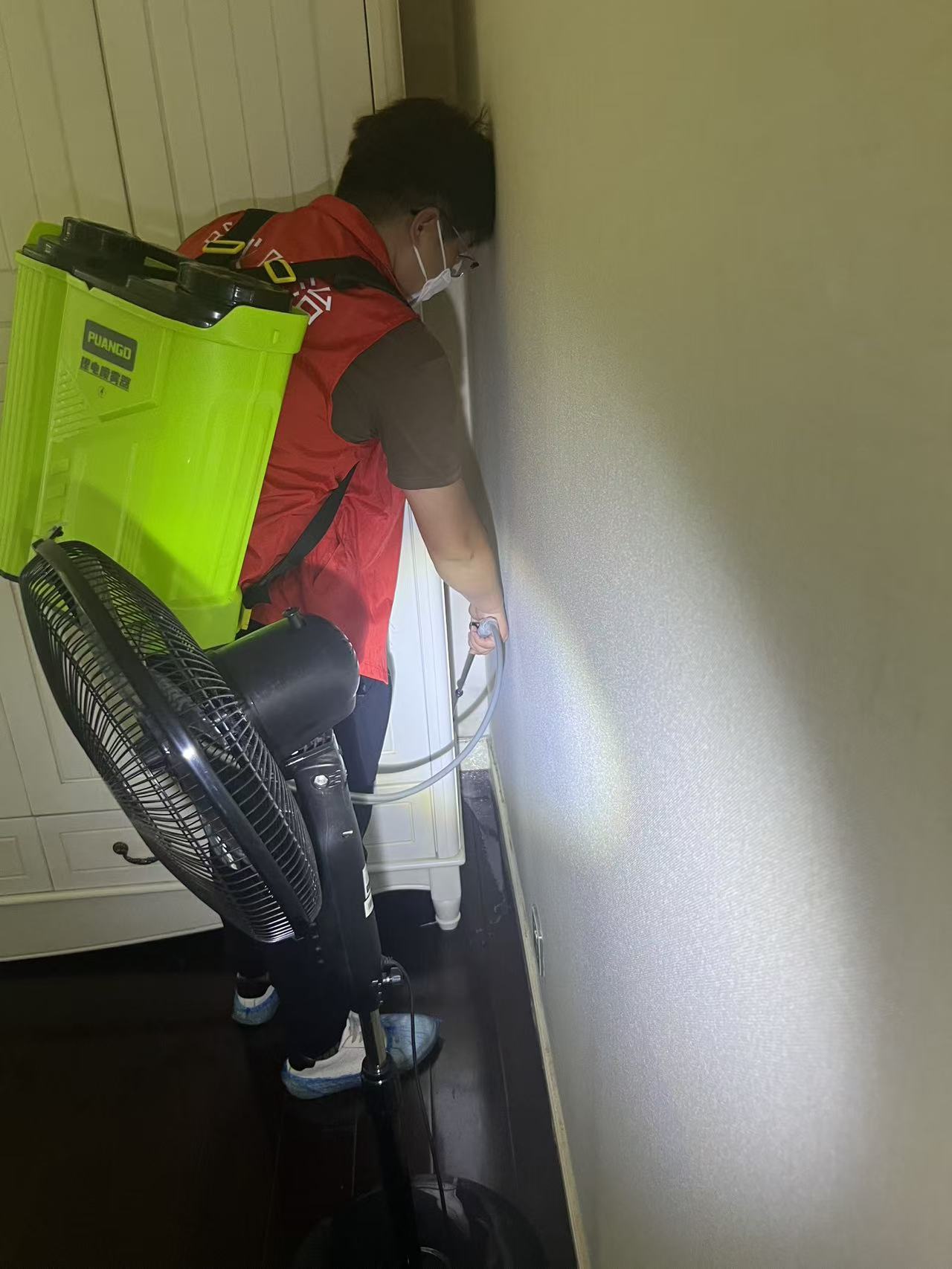 杭州市白蚁防治站：为什么屋内会有白蚁？揭秘白蚁入侵的五大原因与预防策略