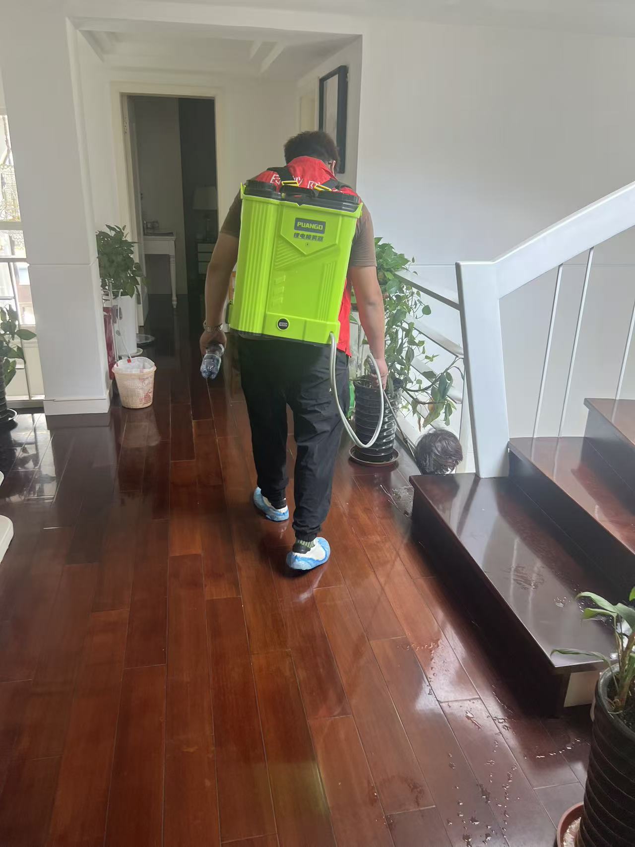 龙江白蚁预防哪家好？专业防治指南助您安心居住