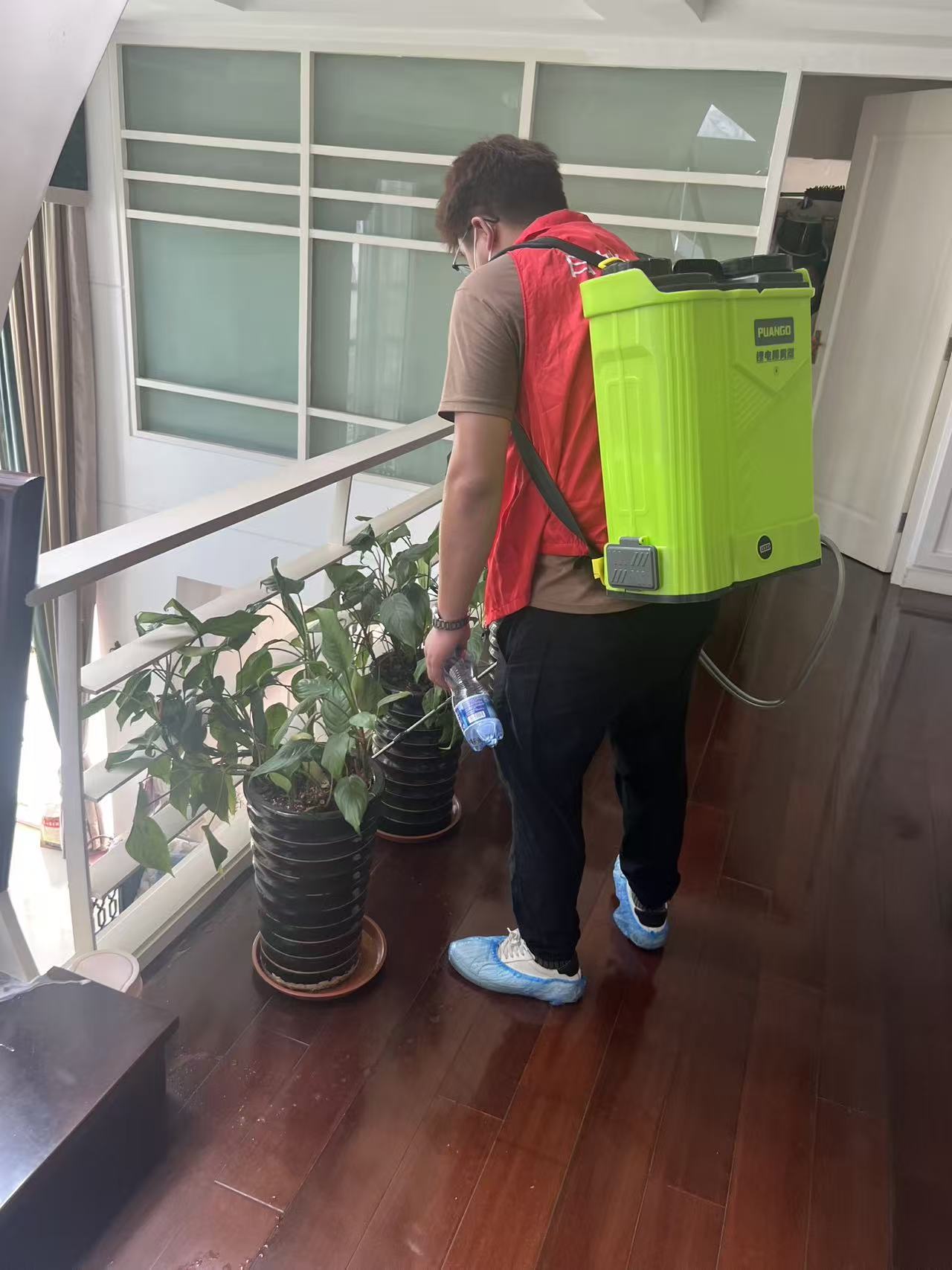 怎样区分白蚁咬过的门框：识别与应对指南