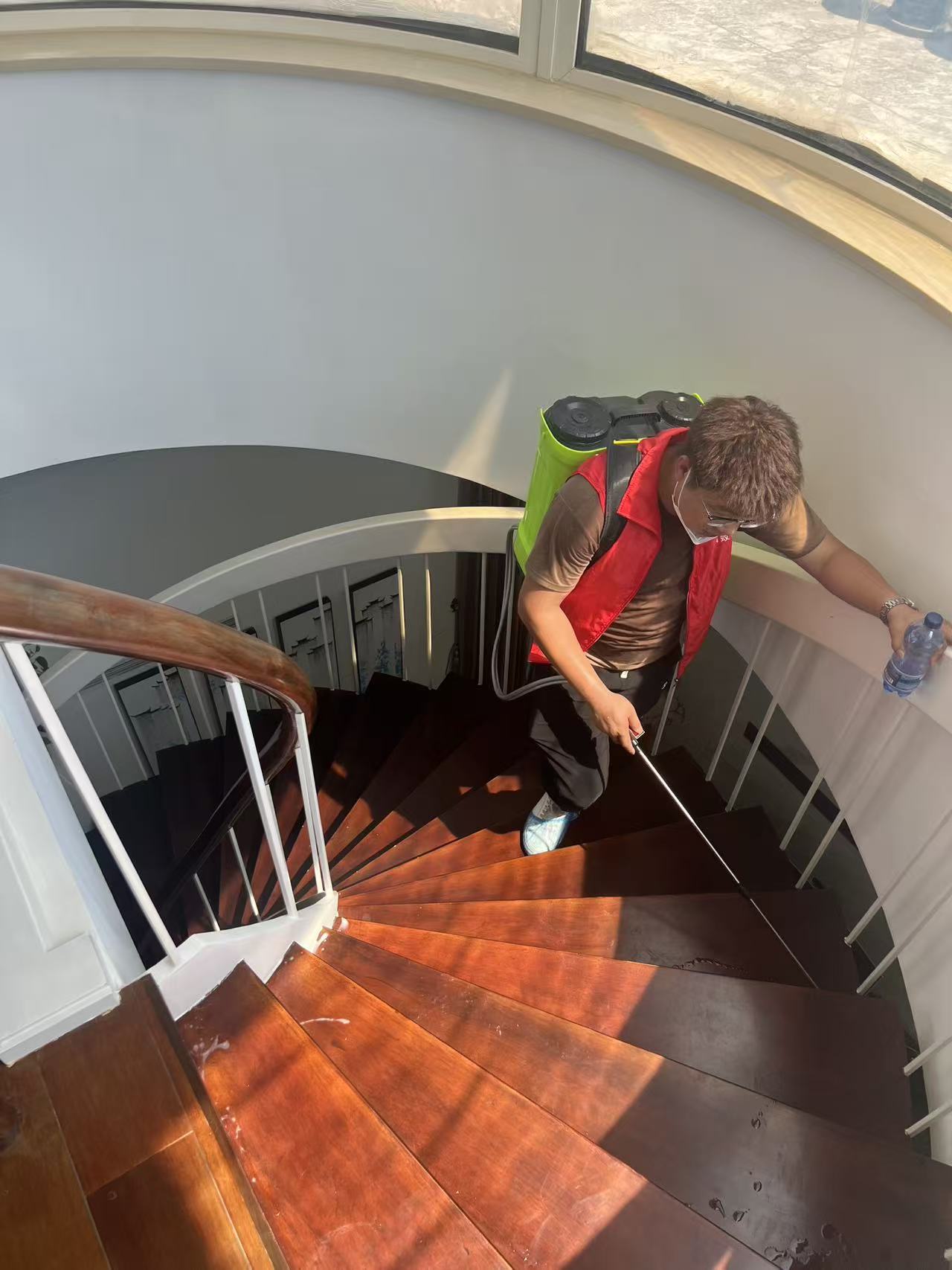 白蚁诱杀剂制作：家庭防蚁的实用指南